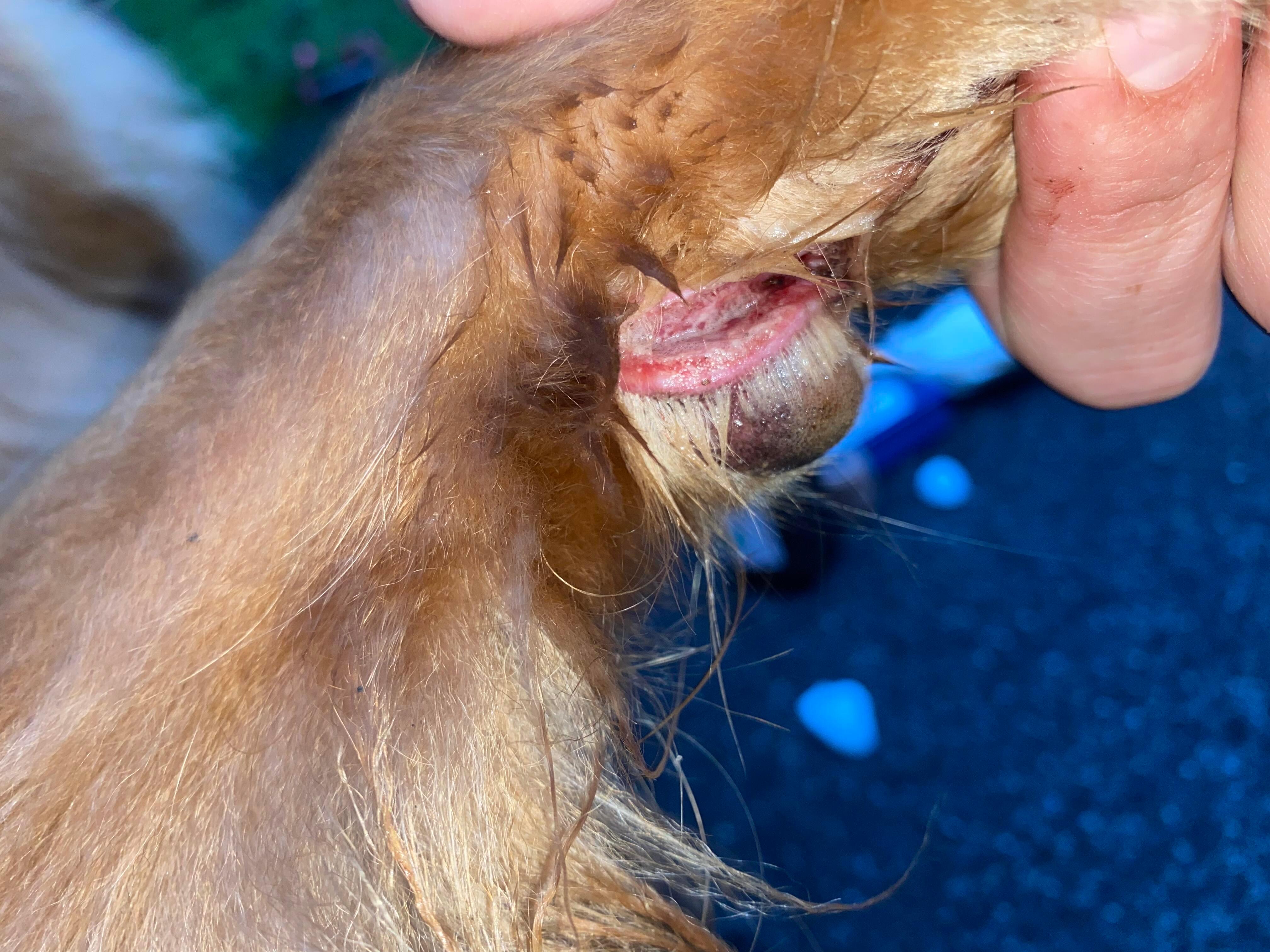 Question details sensitive content