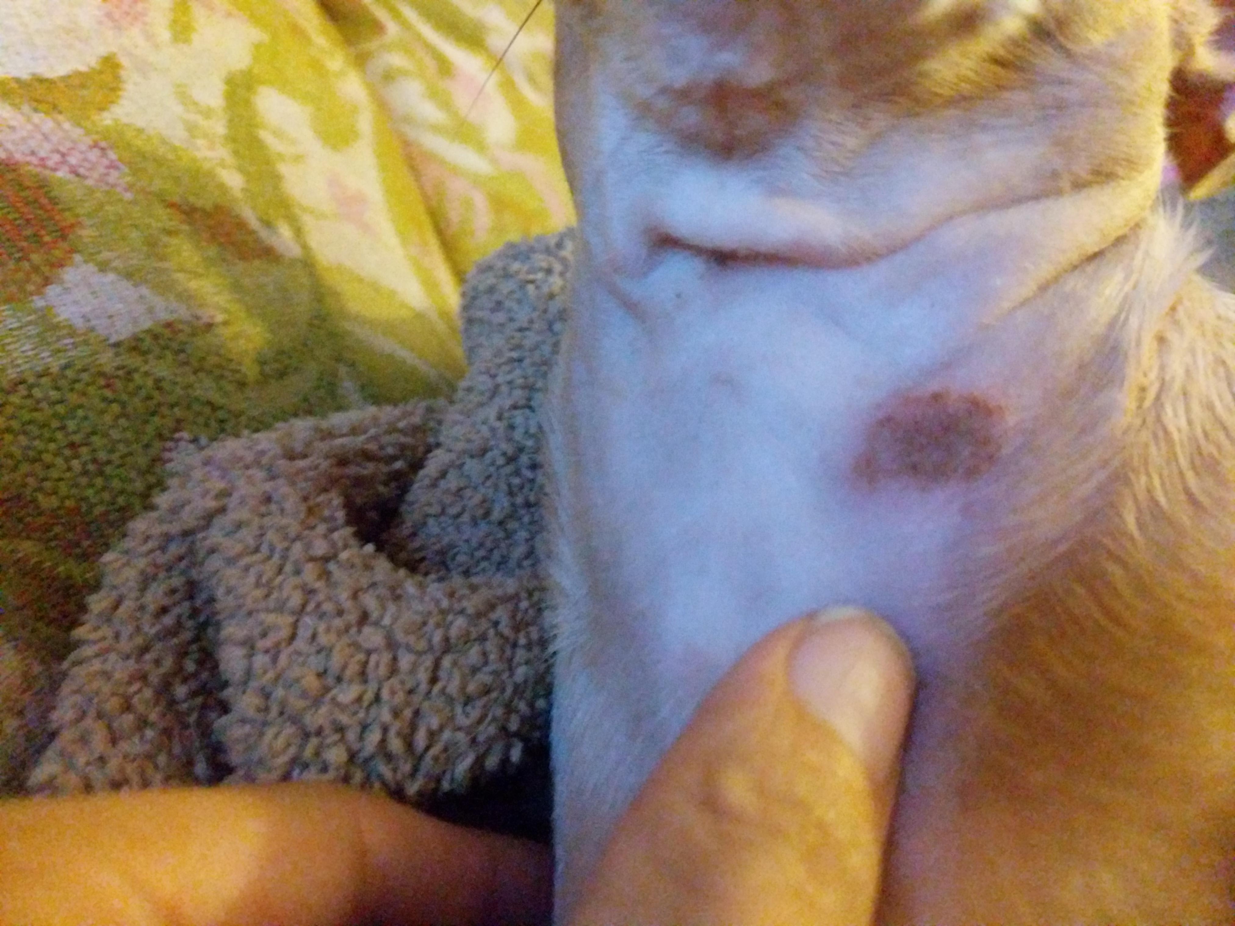 Question details sensitive content