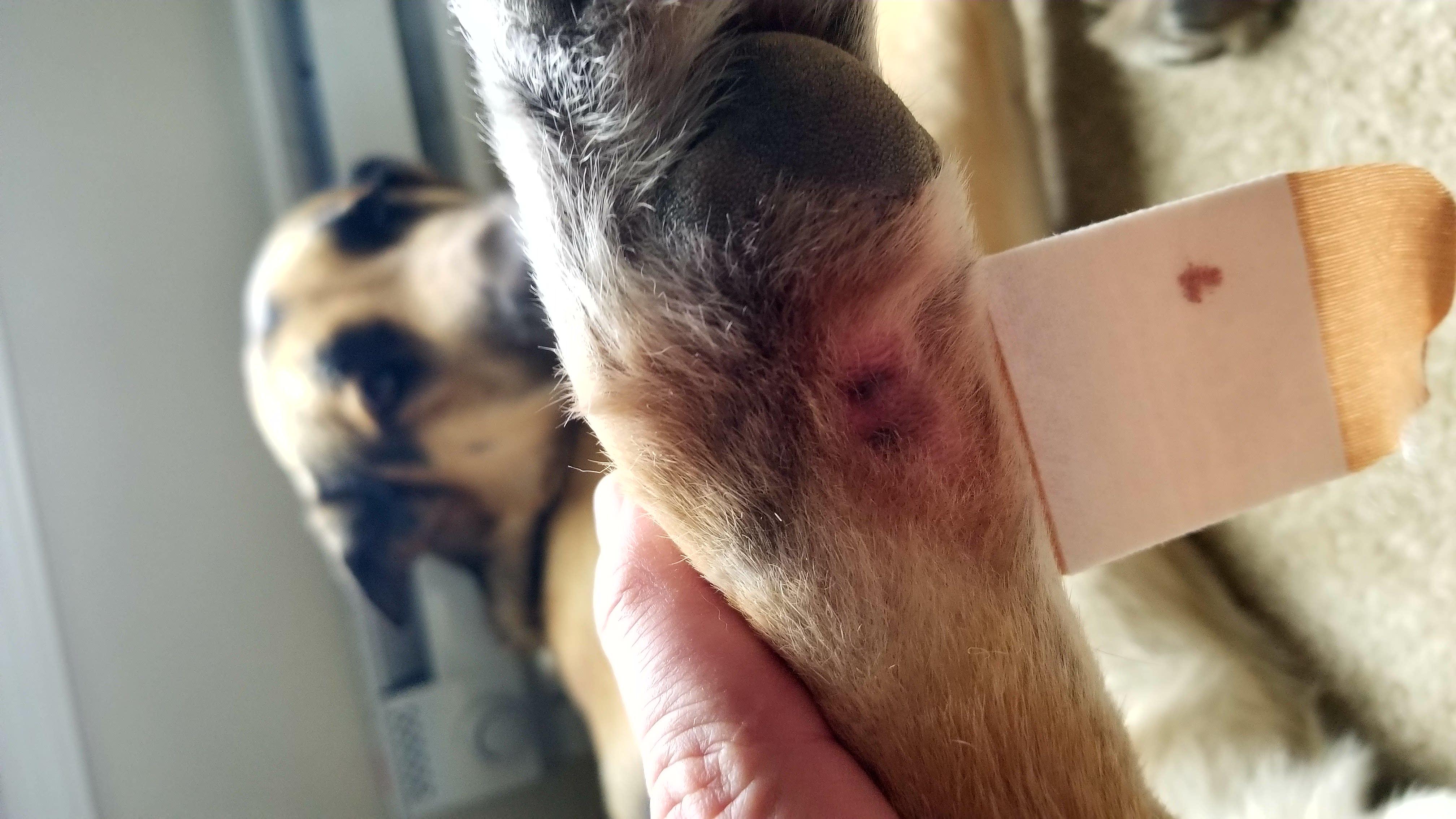 Question details sensitive content