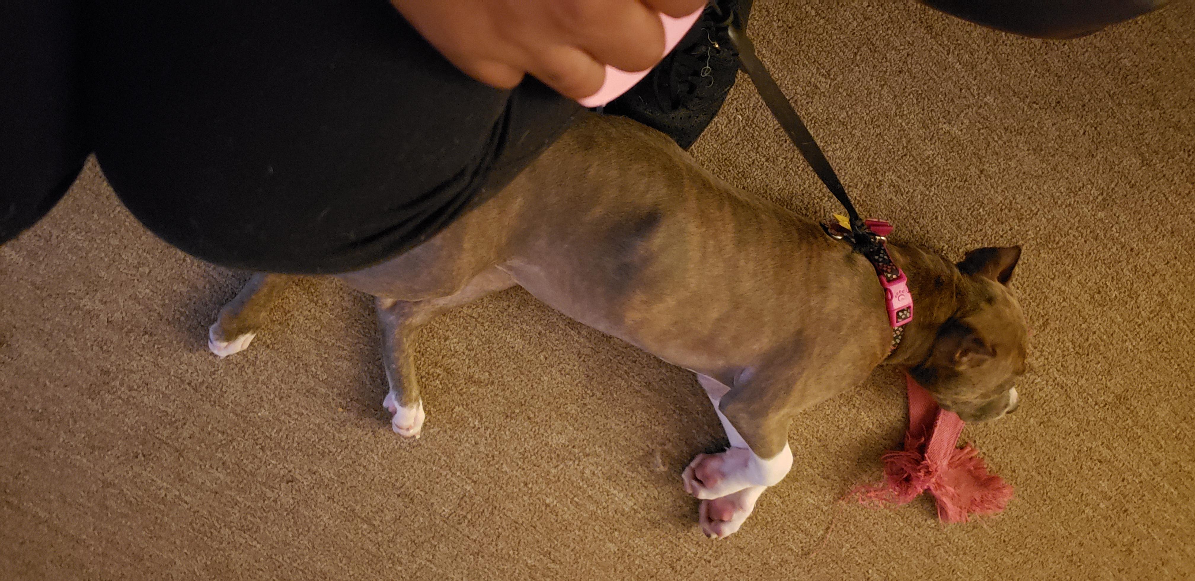 Question details sensitive content