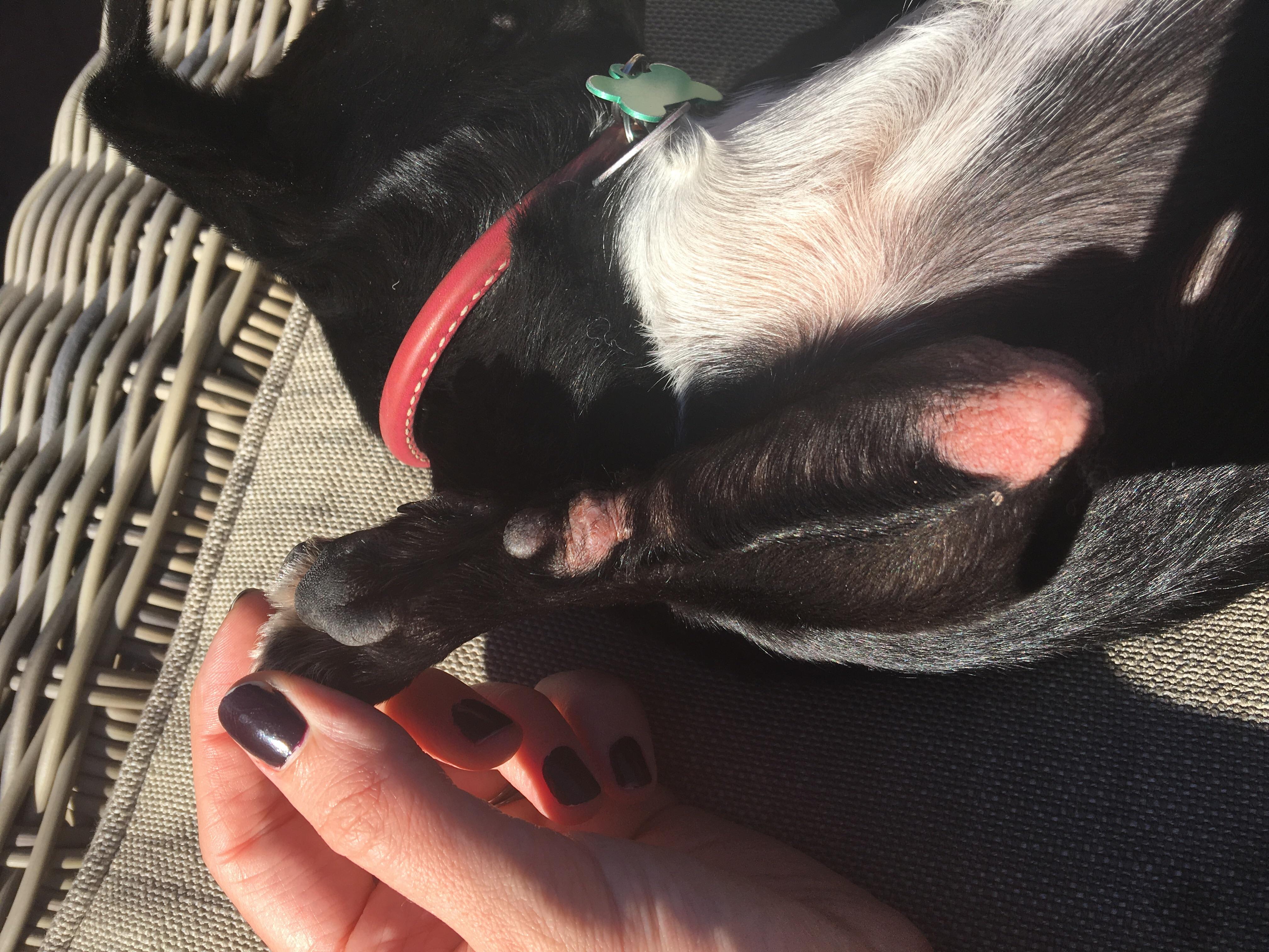 Question details sensitive content