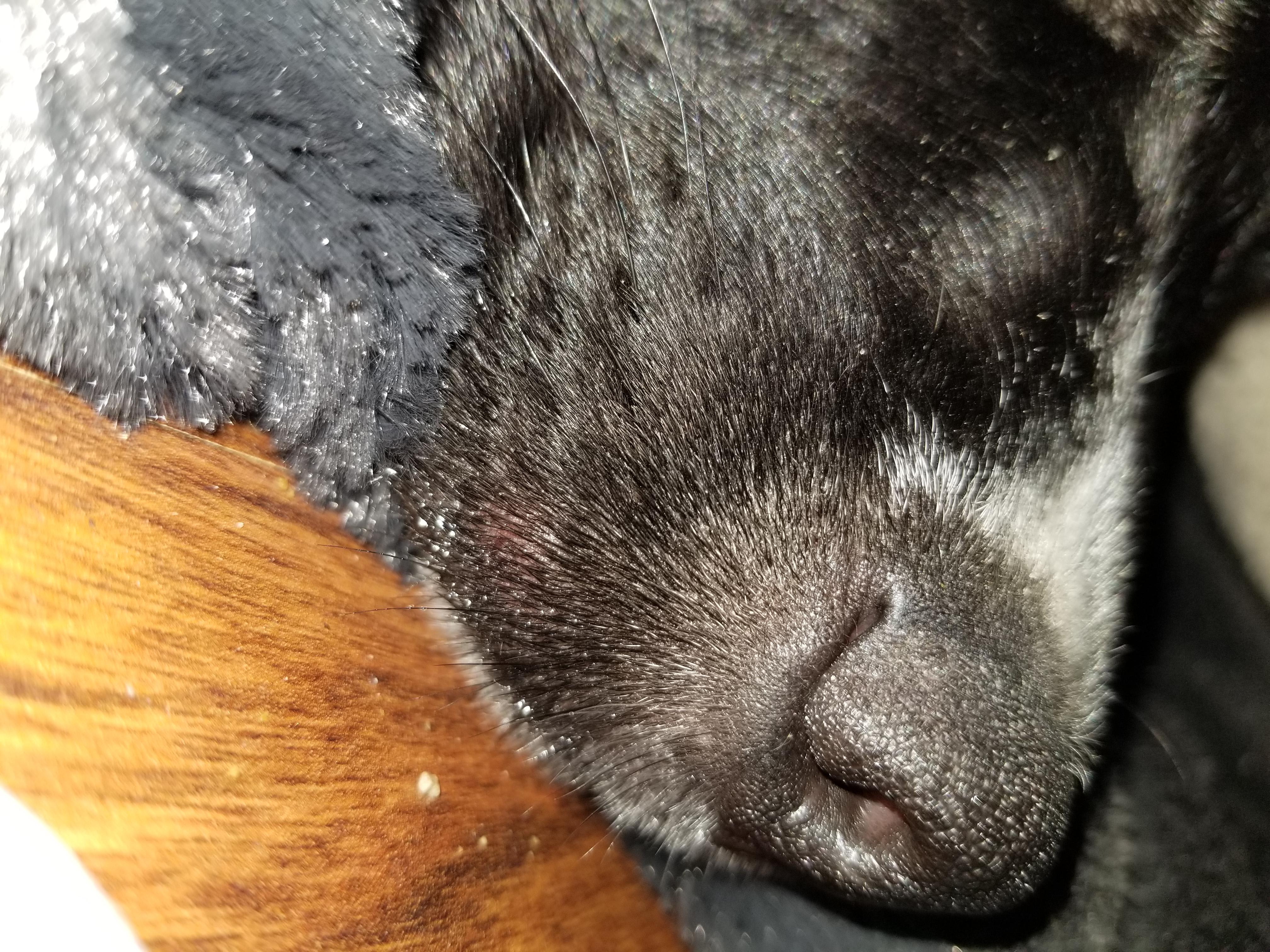 Question details sensitive content