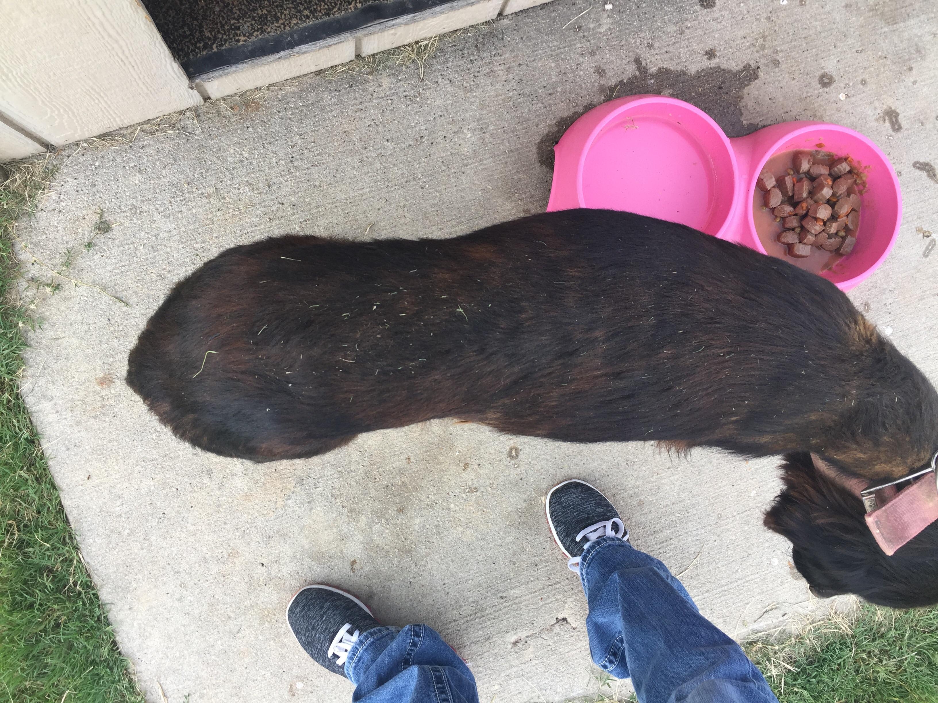 Question details sensitive content