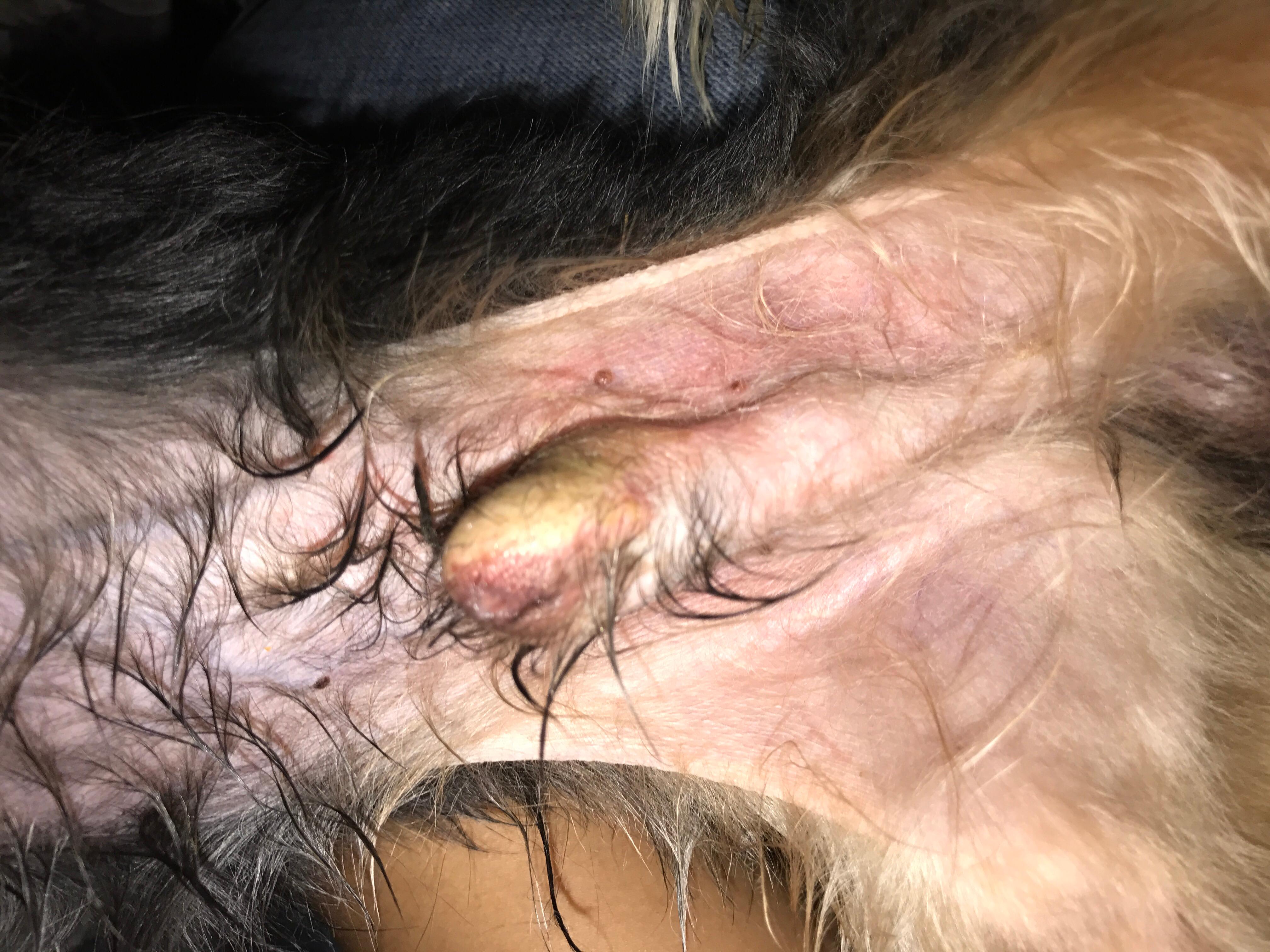 Question details sensitive content