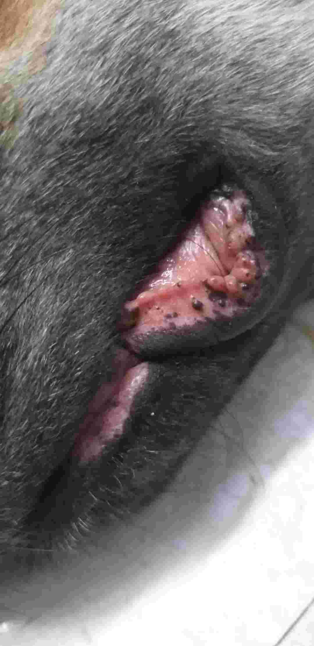 Question details sensitive content