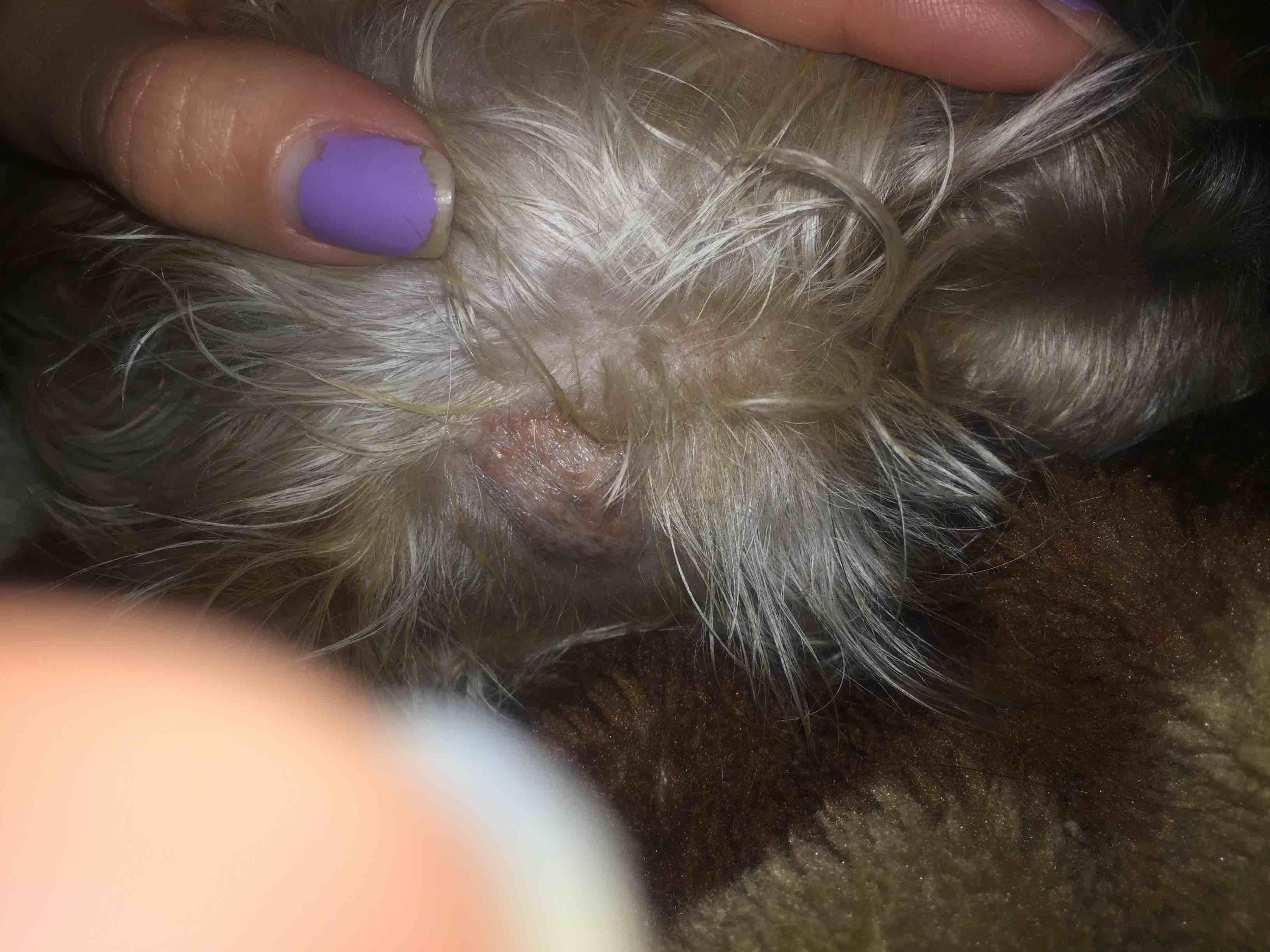 Question details sensitive content