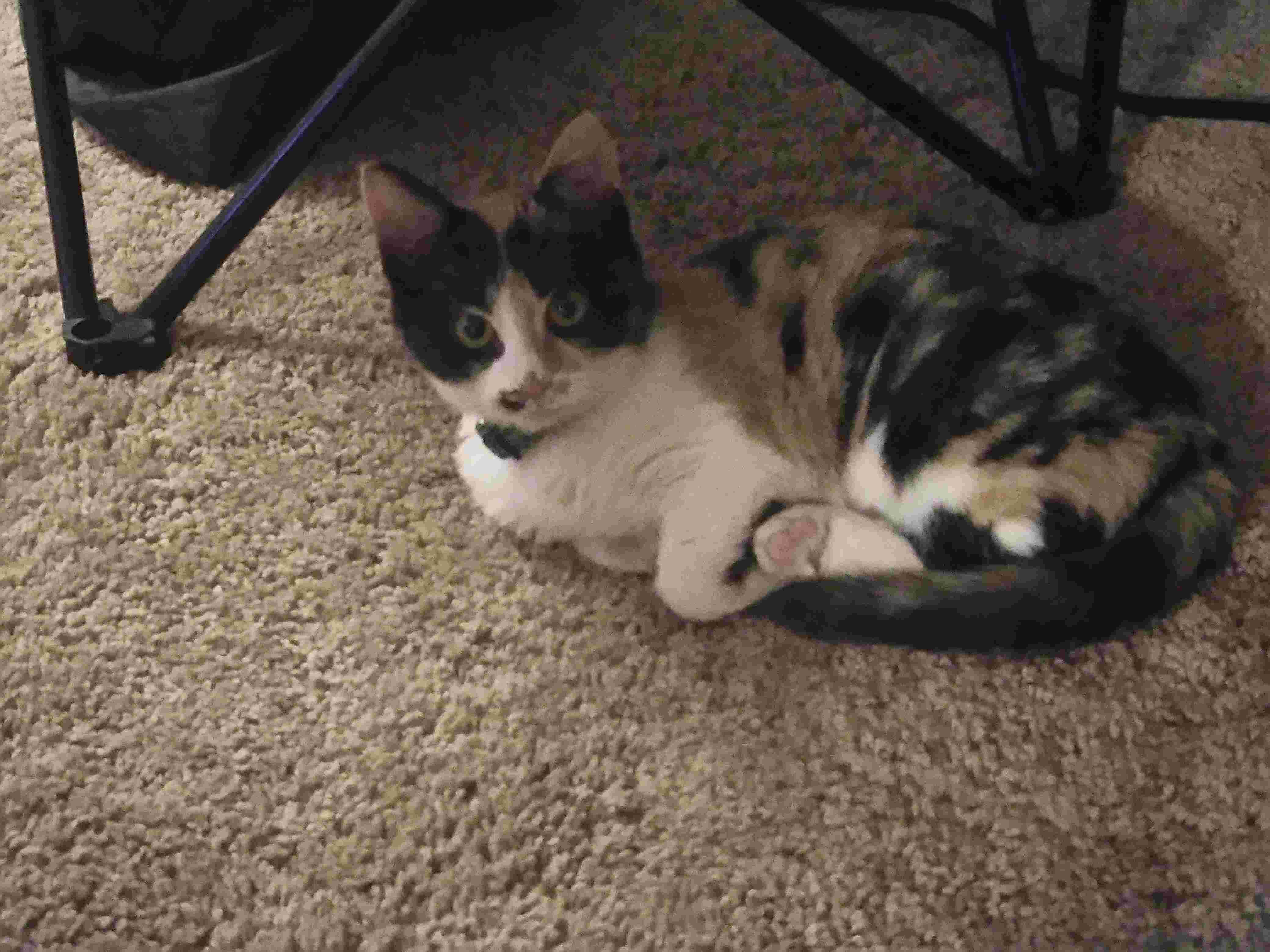 Question details sensitive content