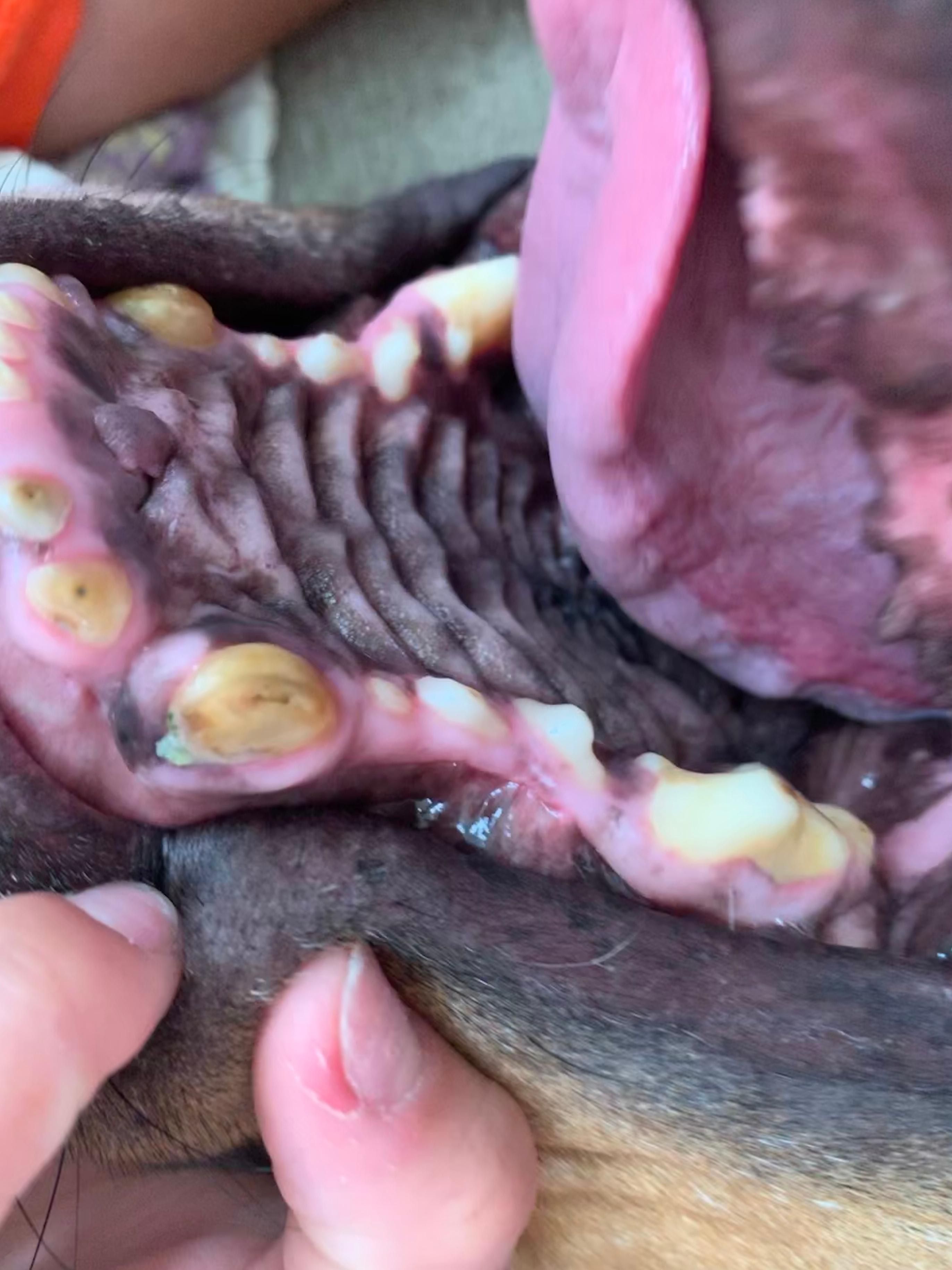 Question details sensitive content