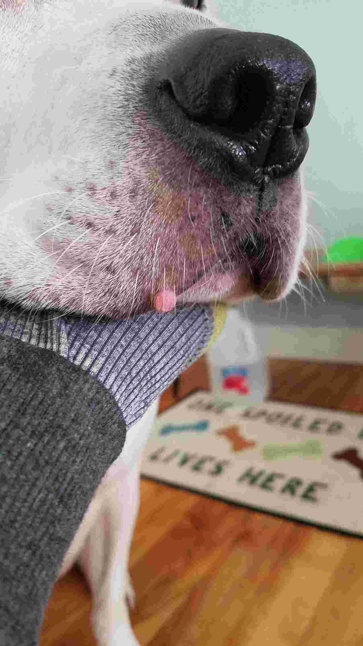 Question details sensitive content