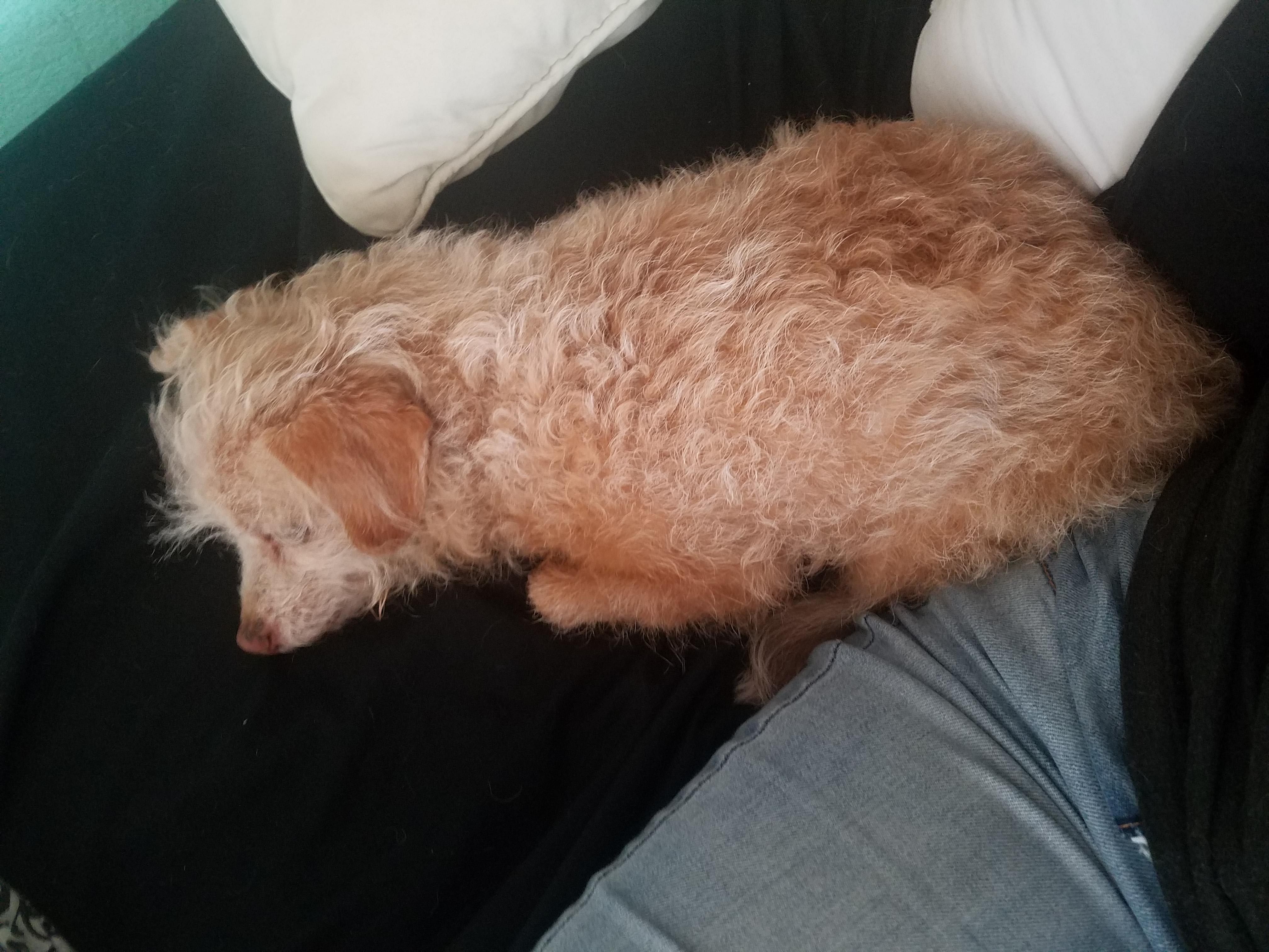 Question details sensitive content