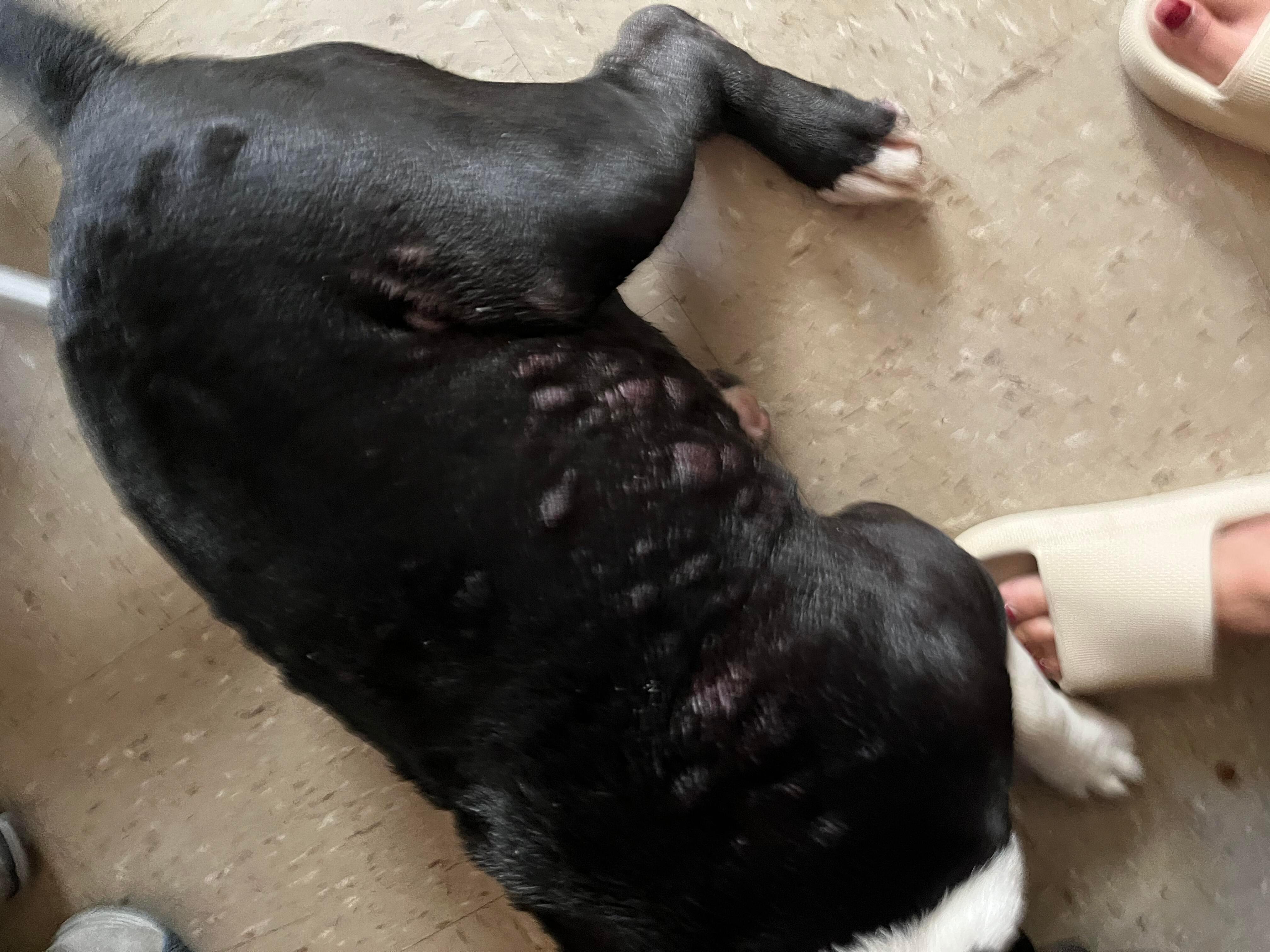 Question details sensitive content