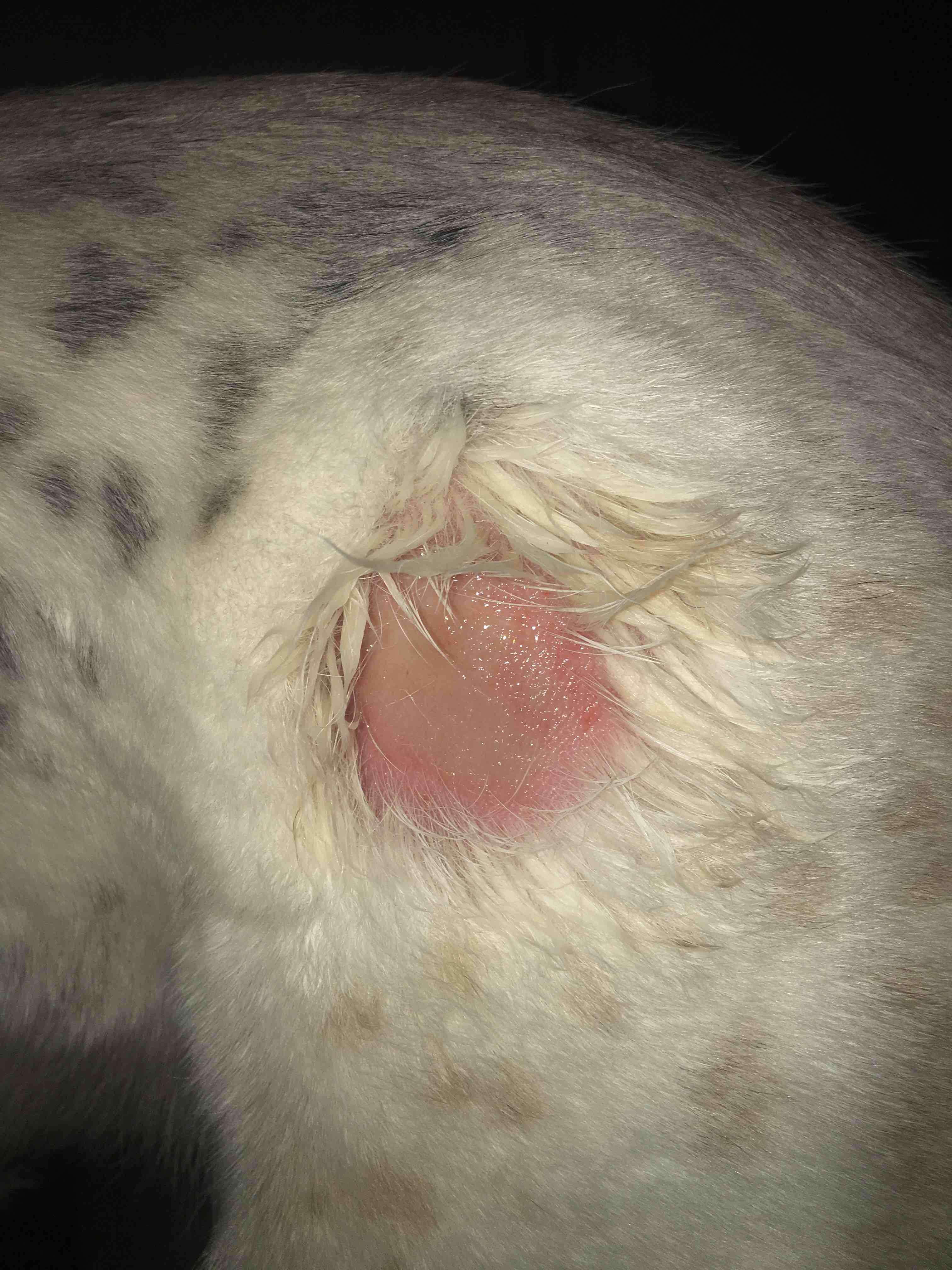 Question details sensitive content