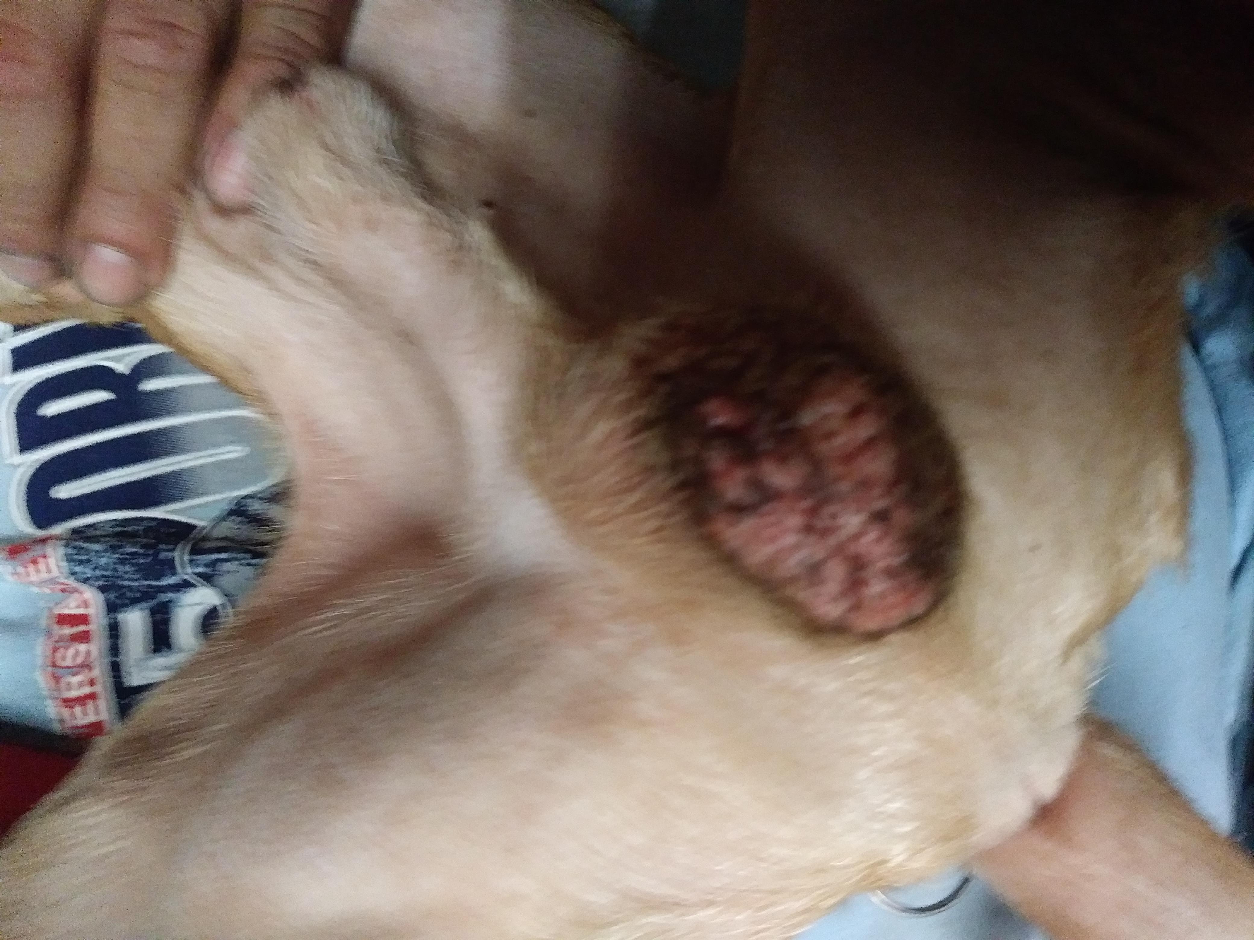 Question details sensitive content