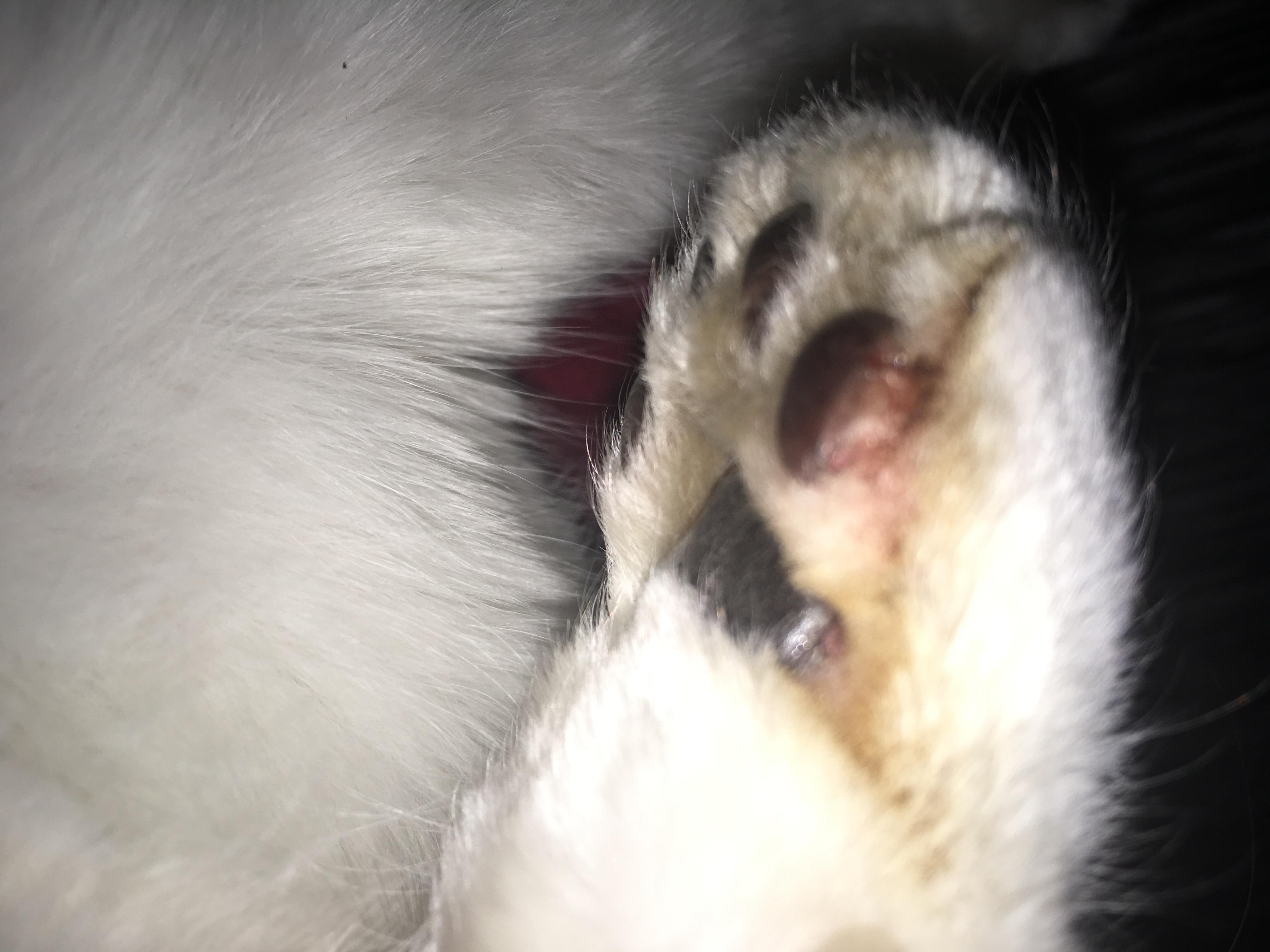 Question details sensitive content