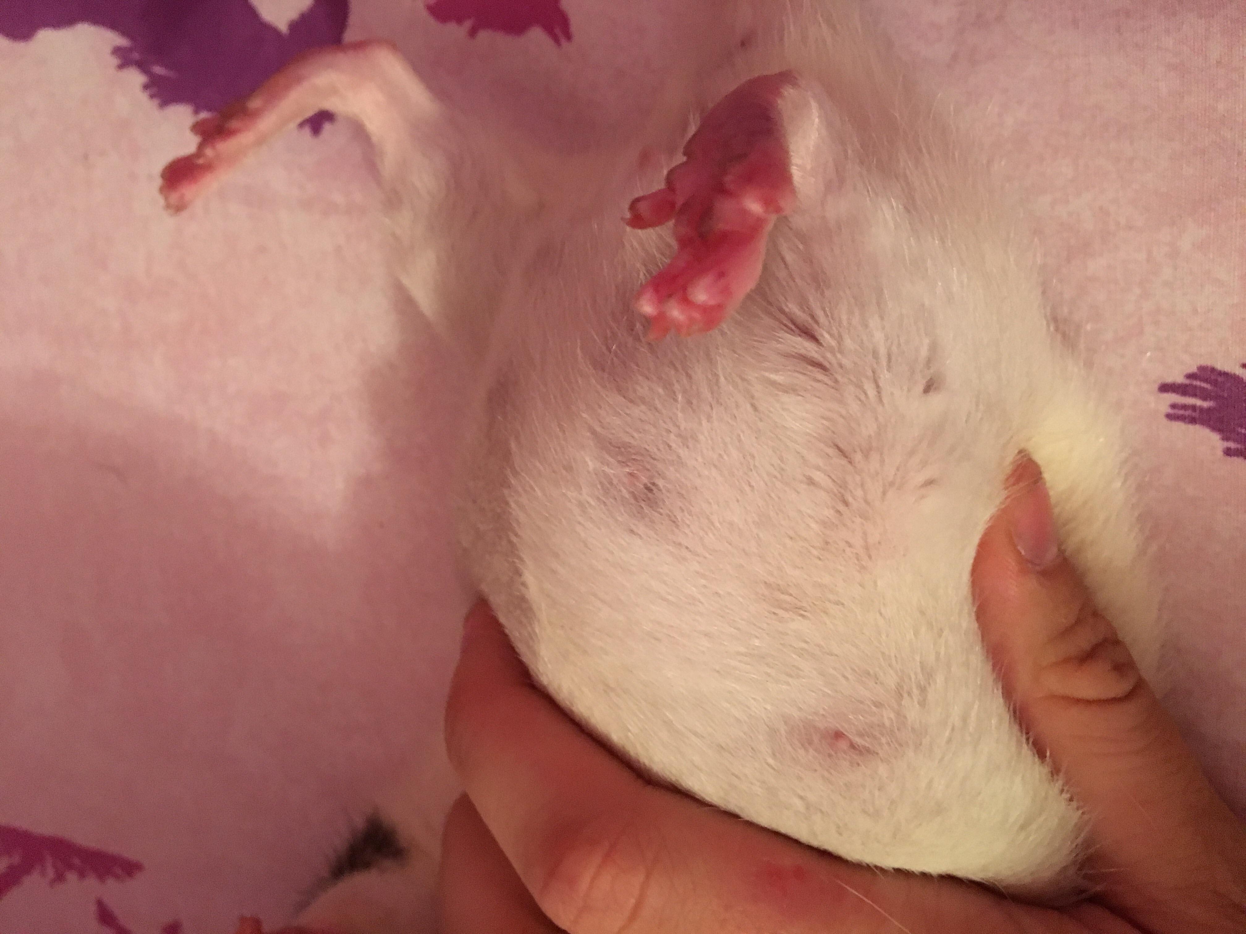 Question details sensitive content