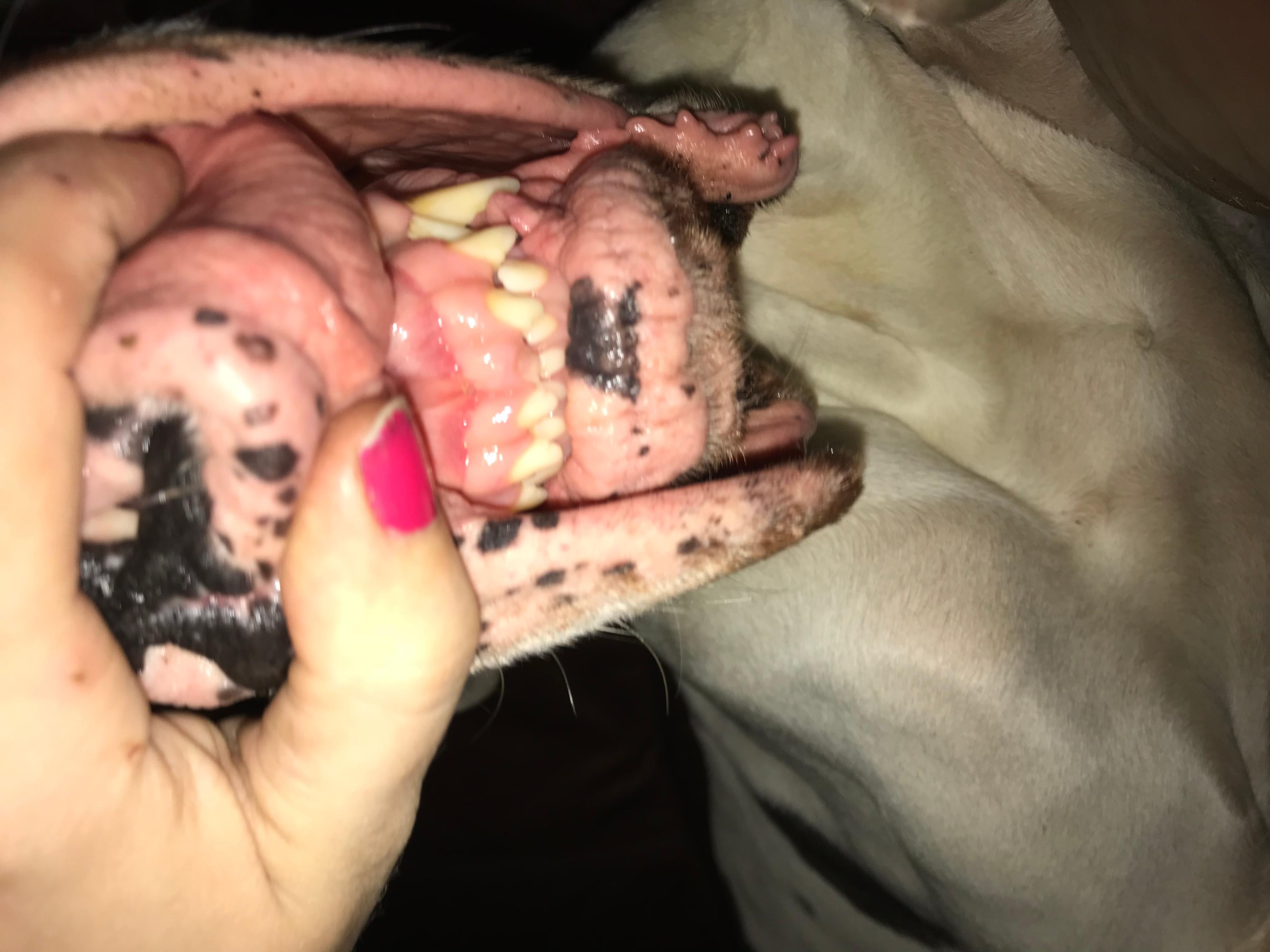 Question details sensitive content