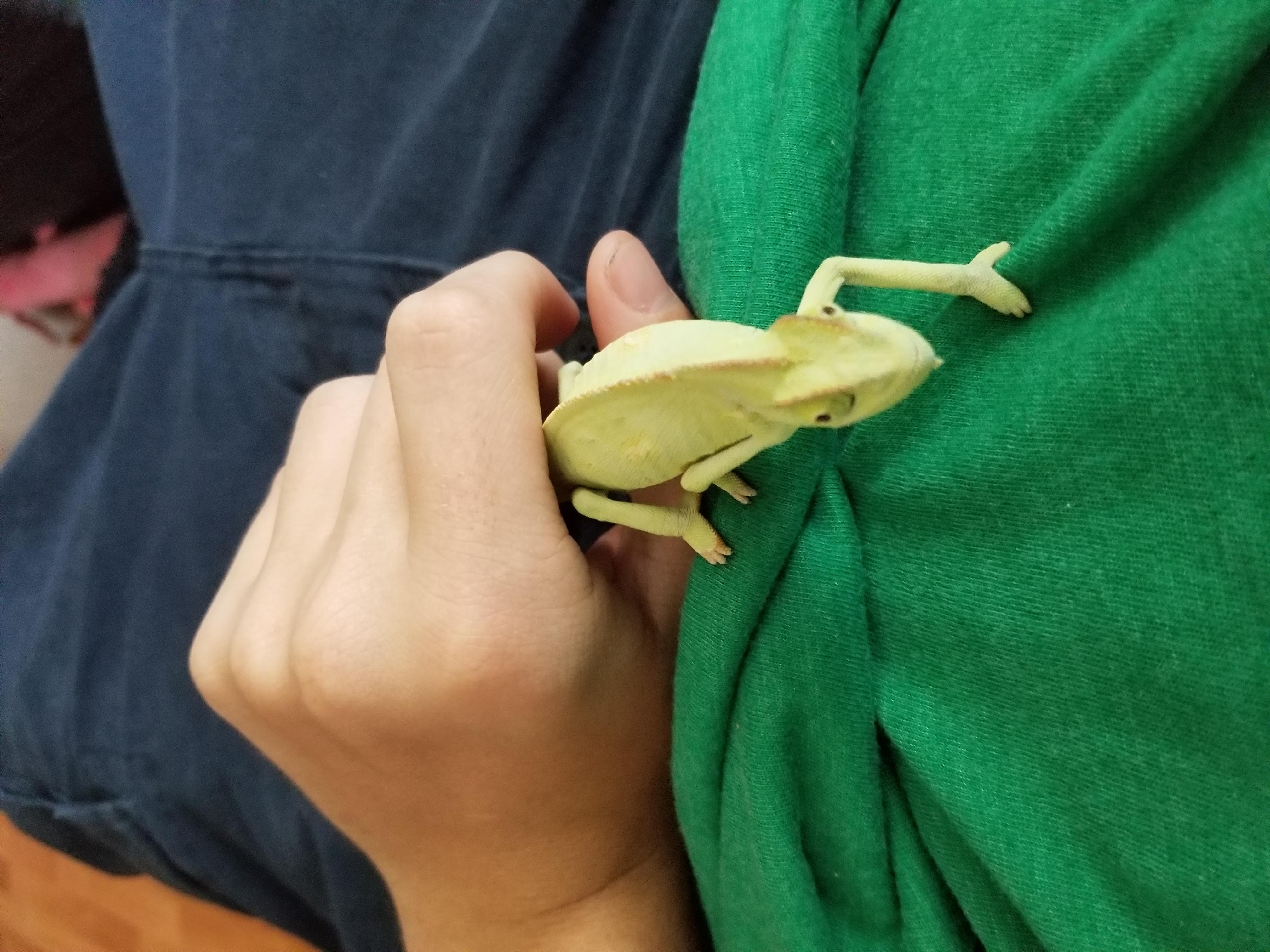 Question details sensitive content