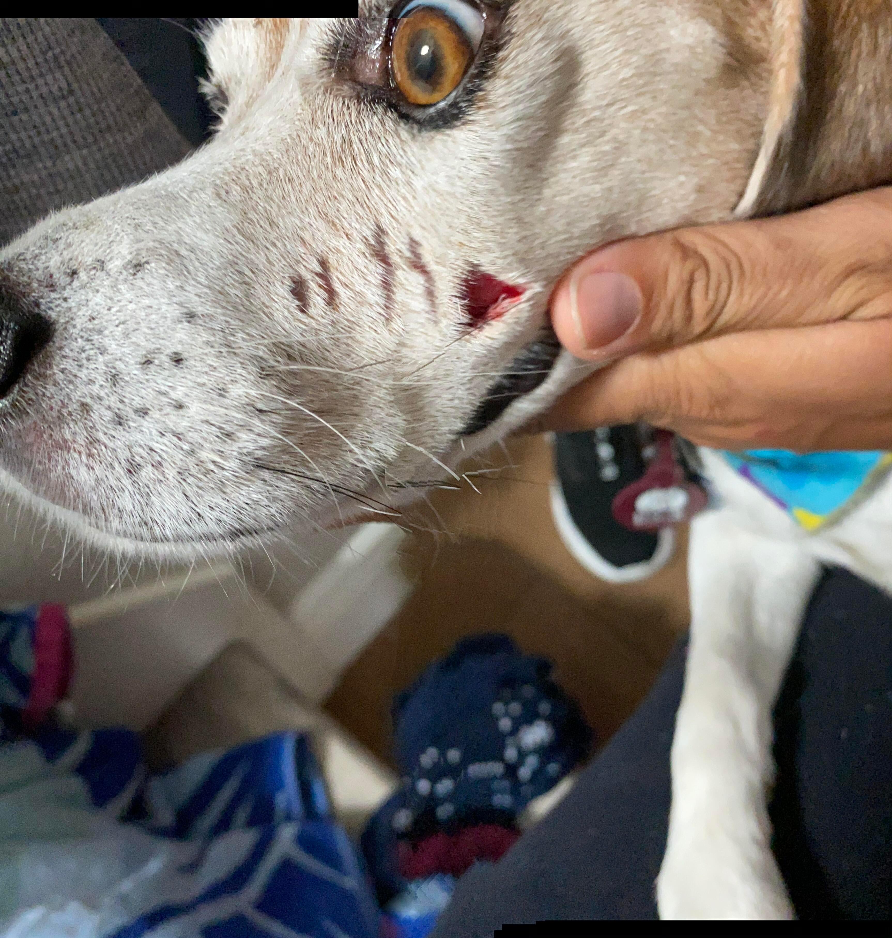 Question details sensitive content