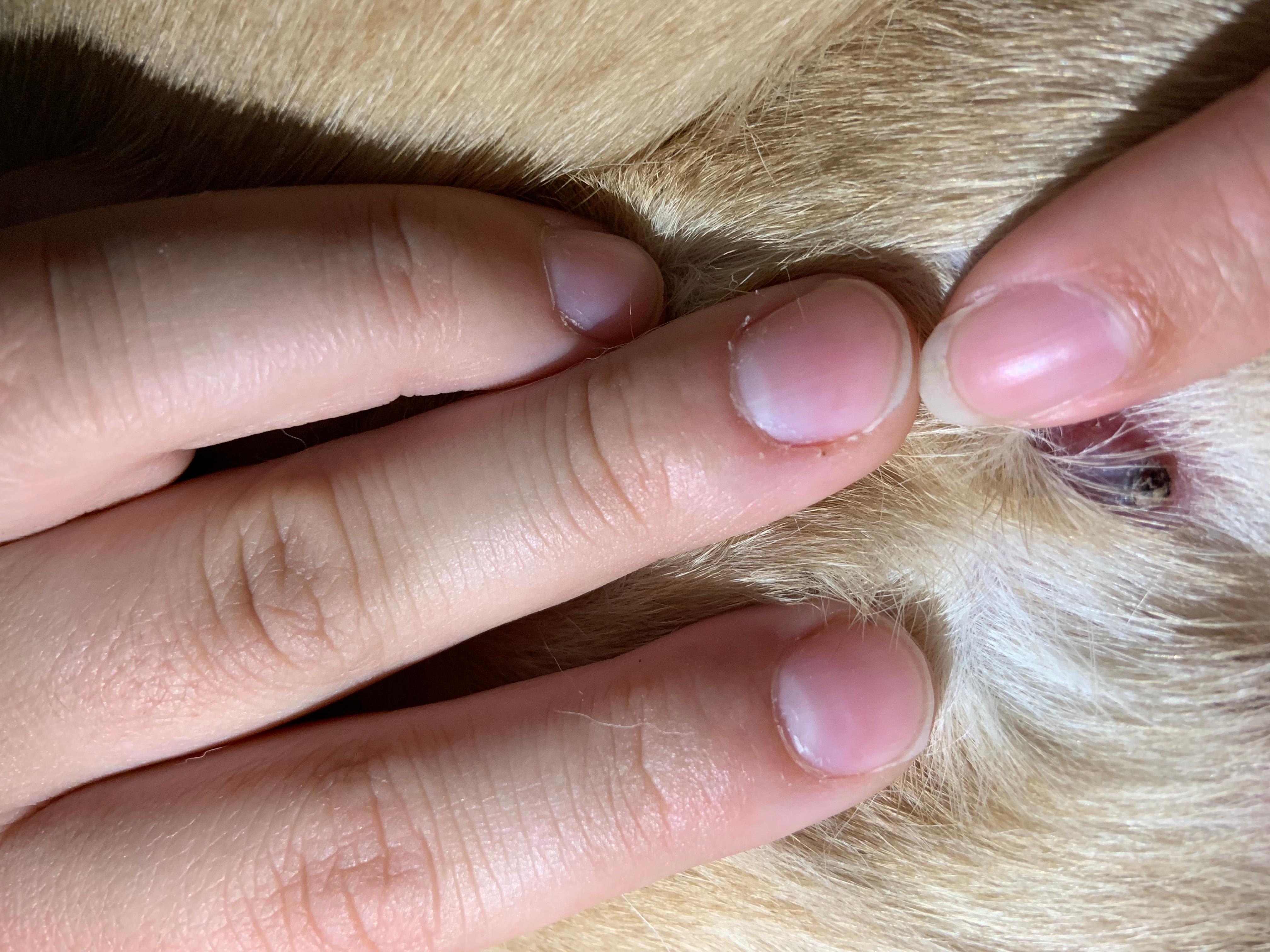 Question details sensitive content