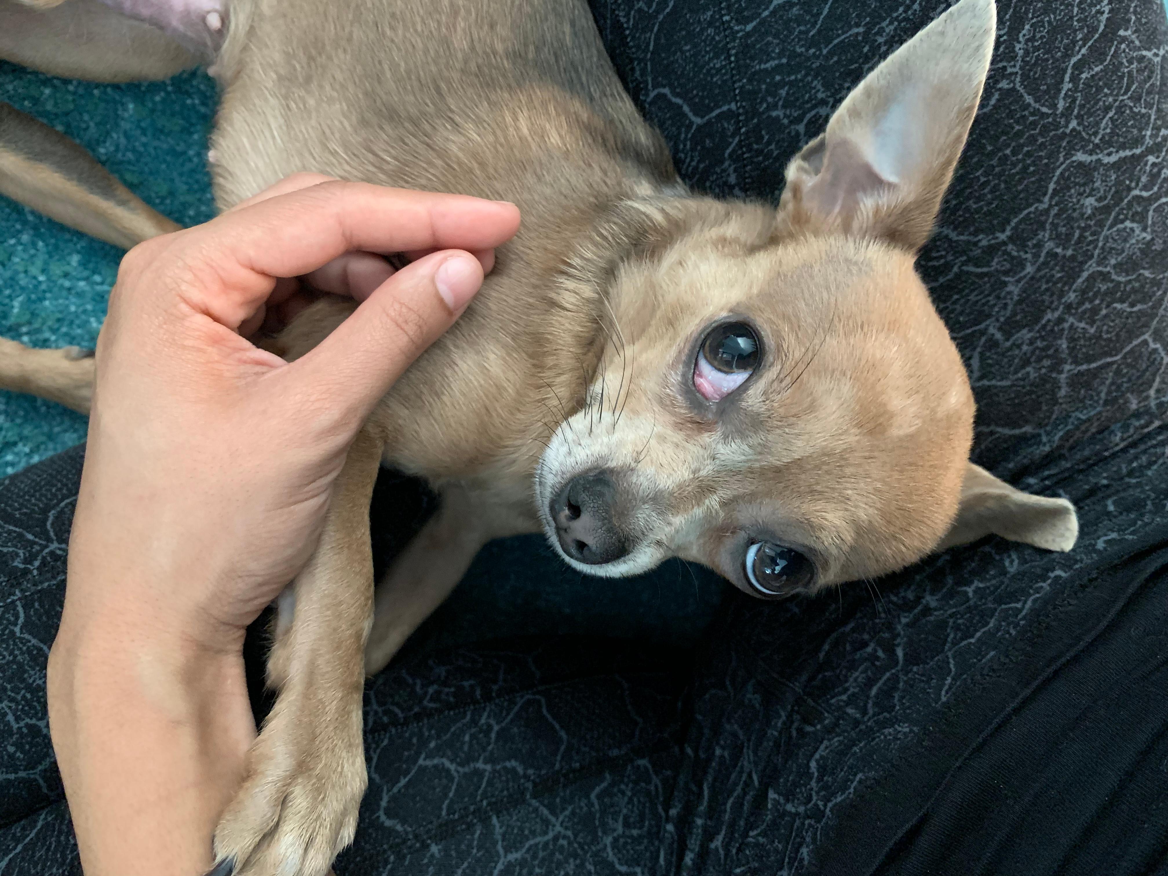 Question details sensitive content