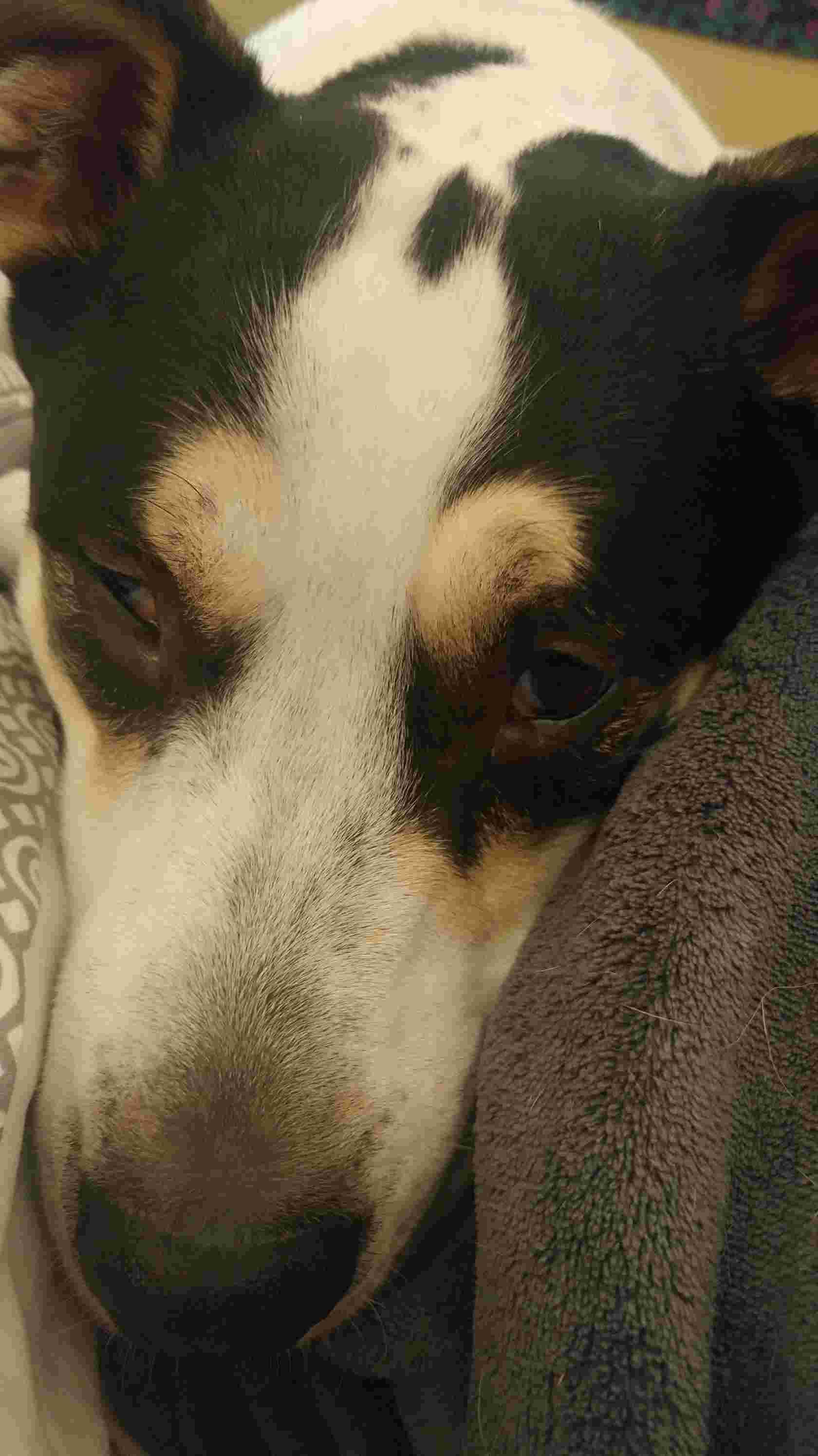 Question details sensitive content