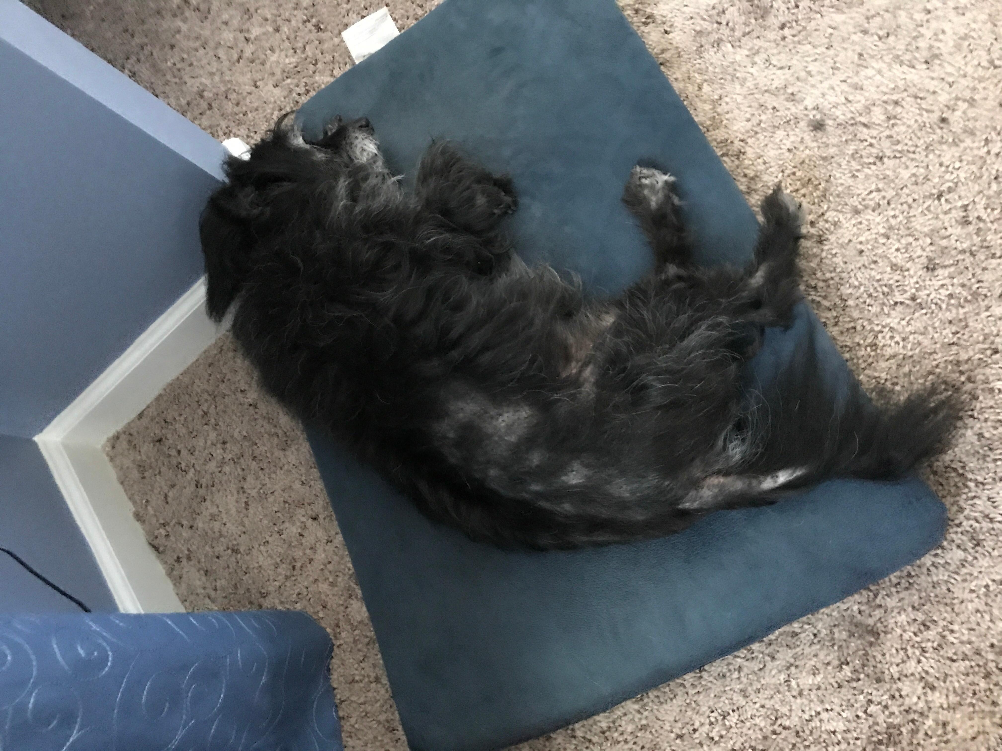 Question details sensitive content