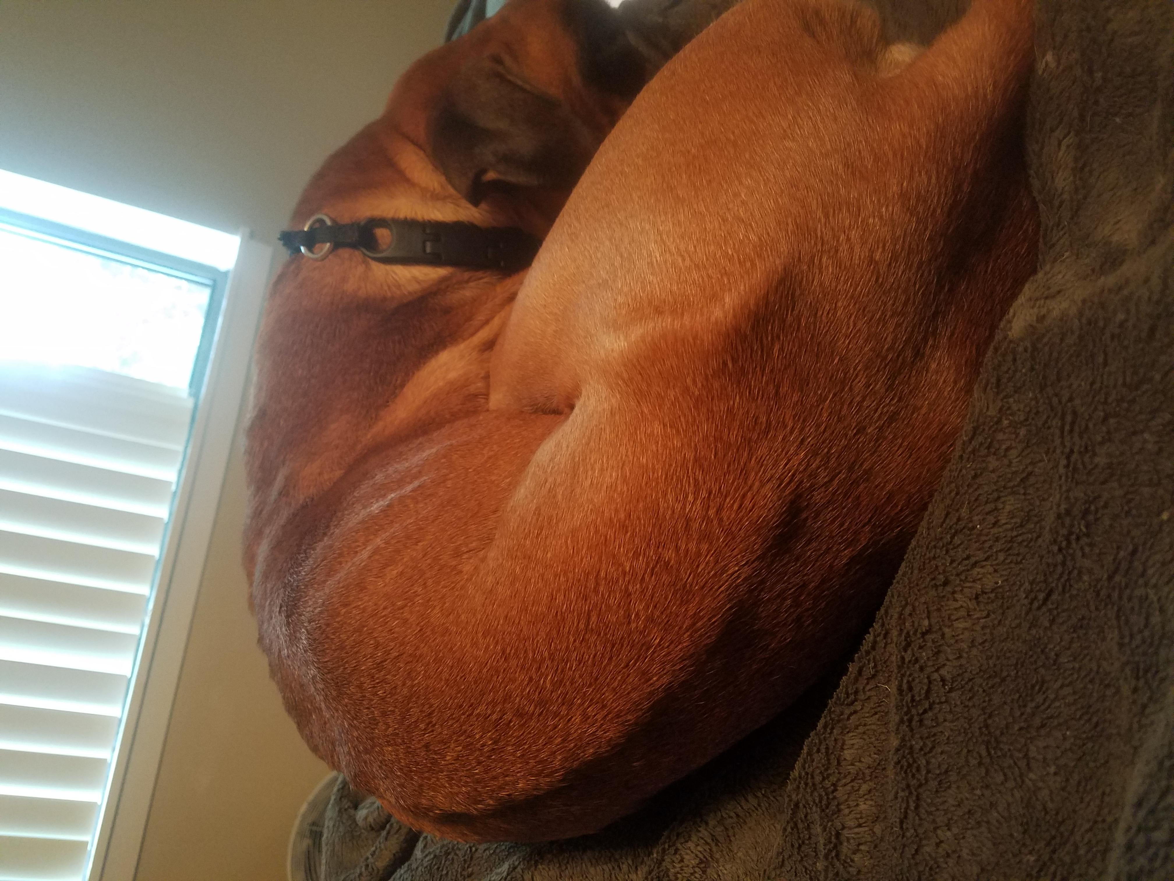 Question details sensitive content