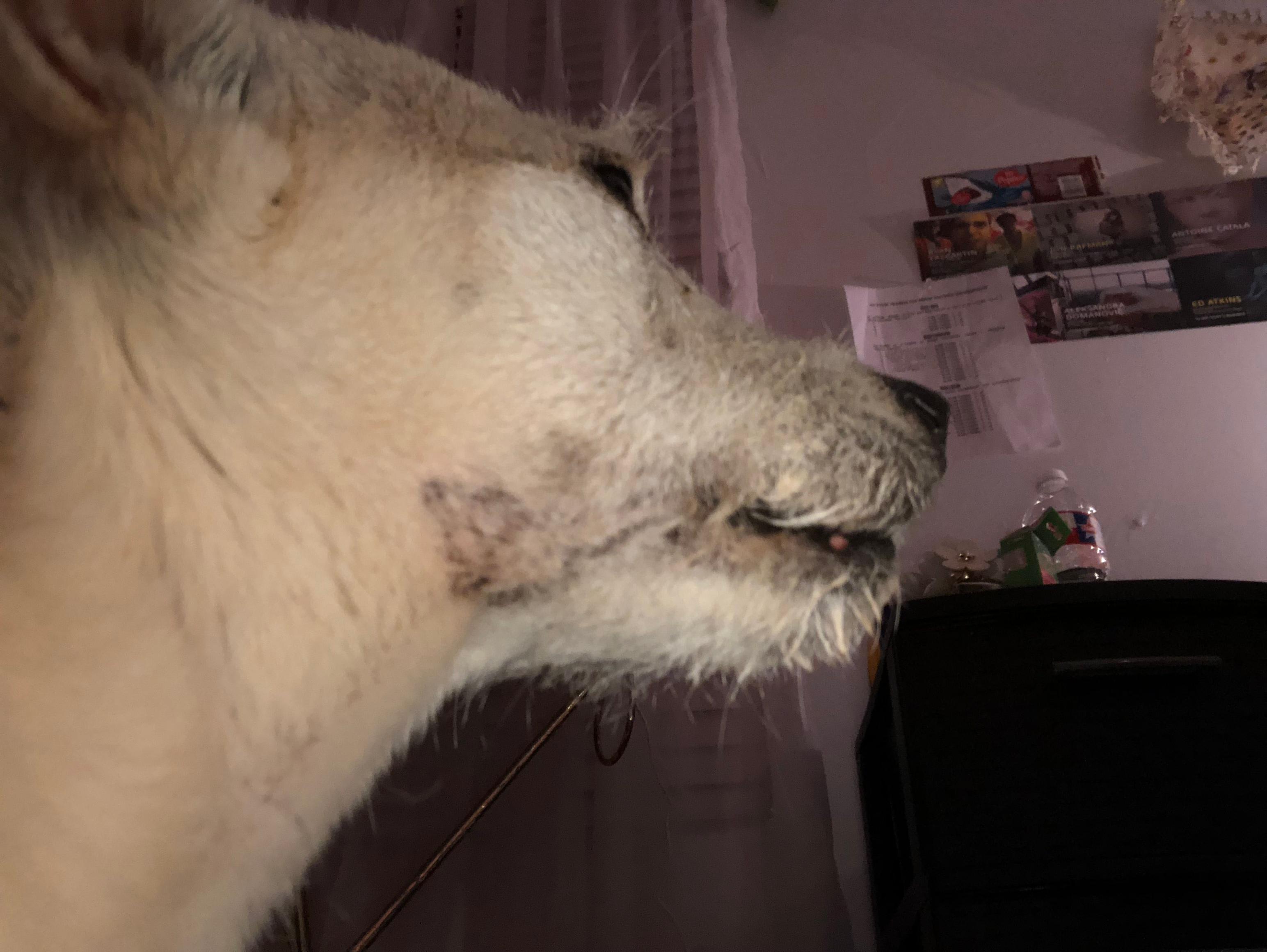 Question details sensitive content