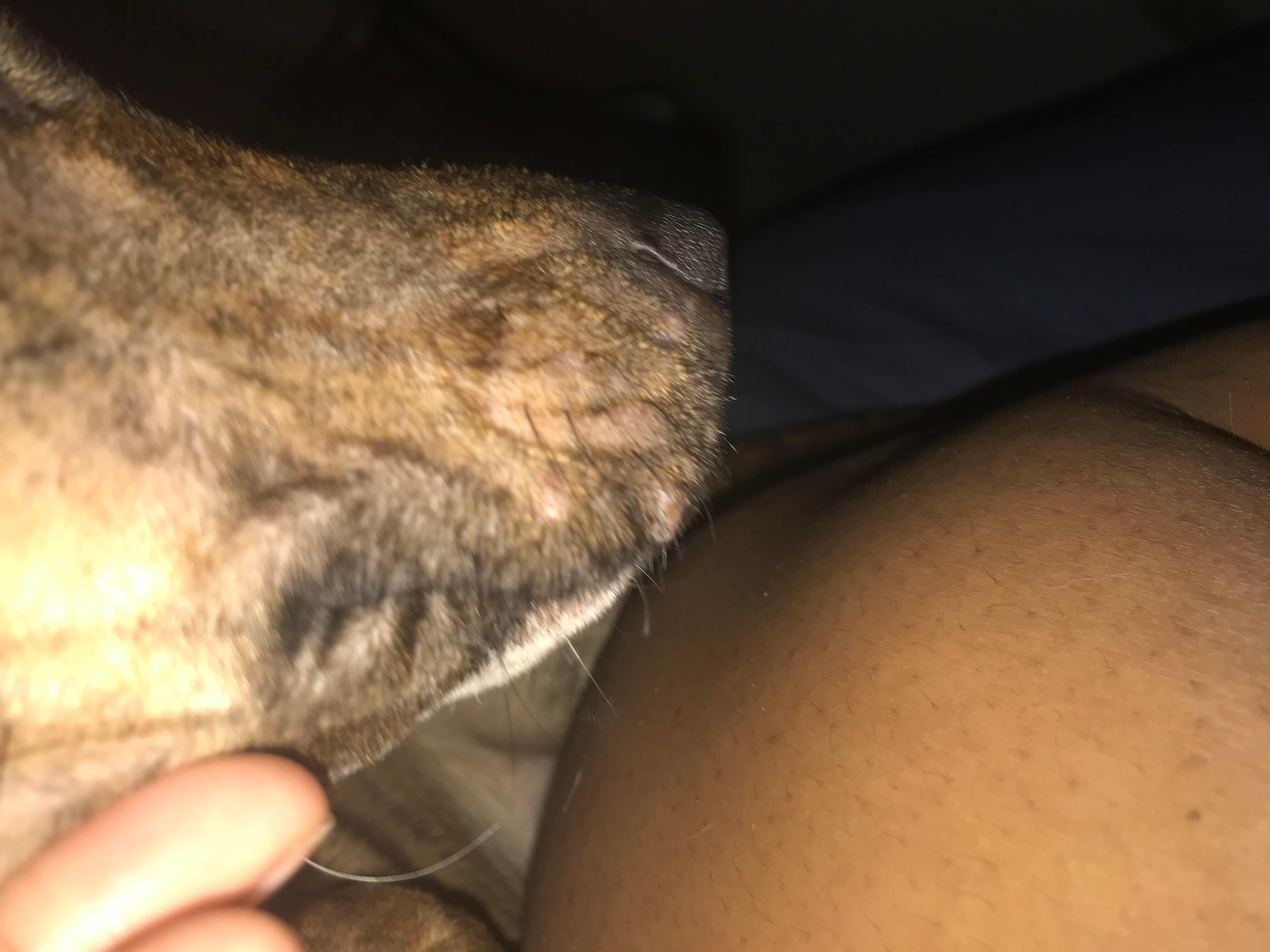 Question details sensitive content