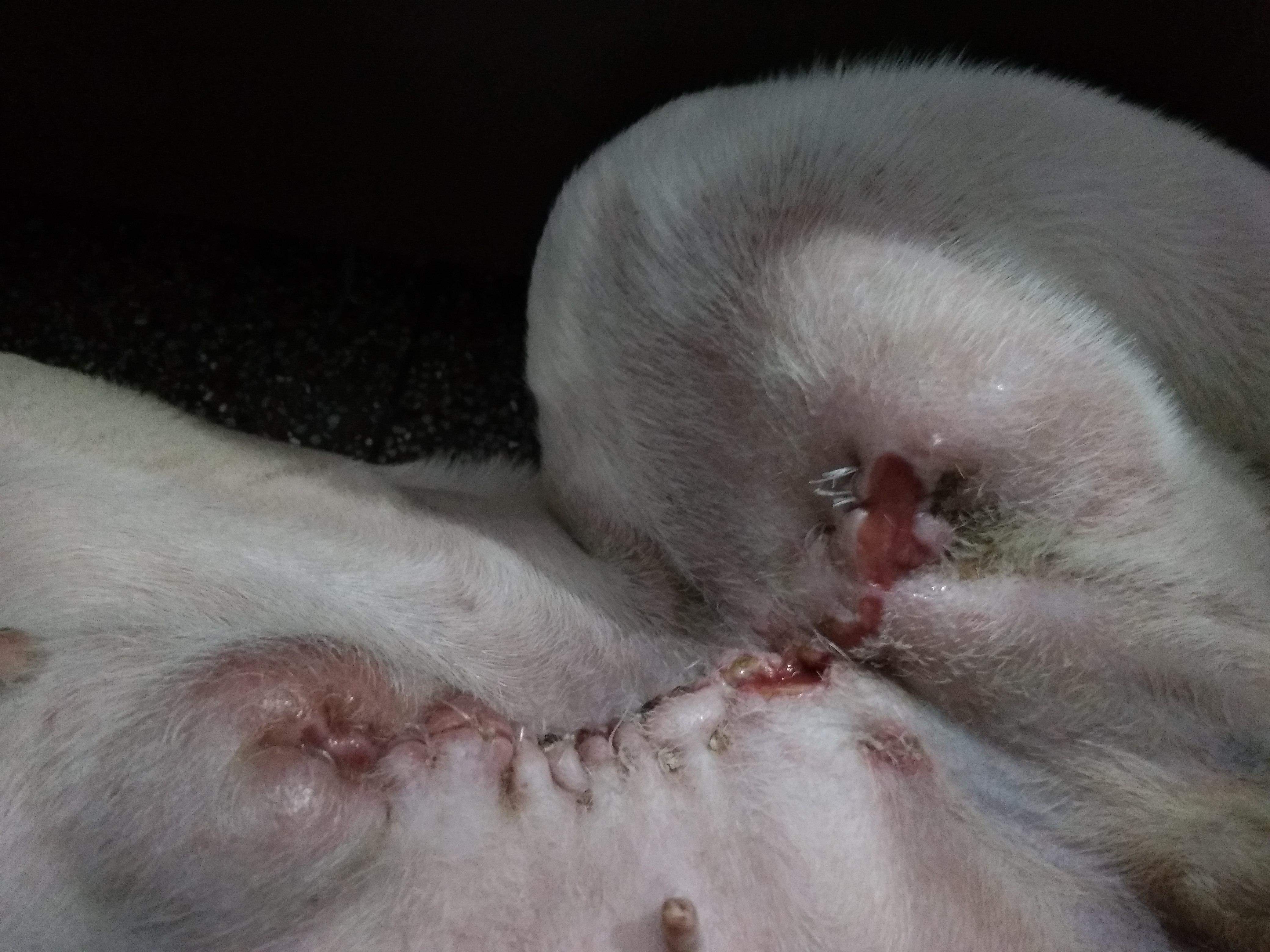 Question details sensitive content