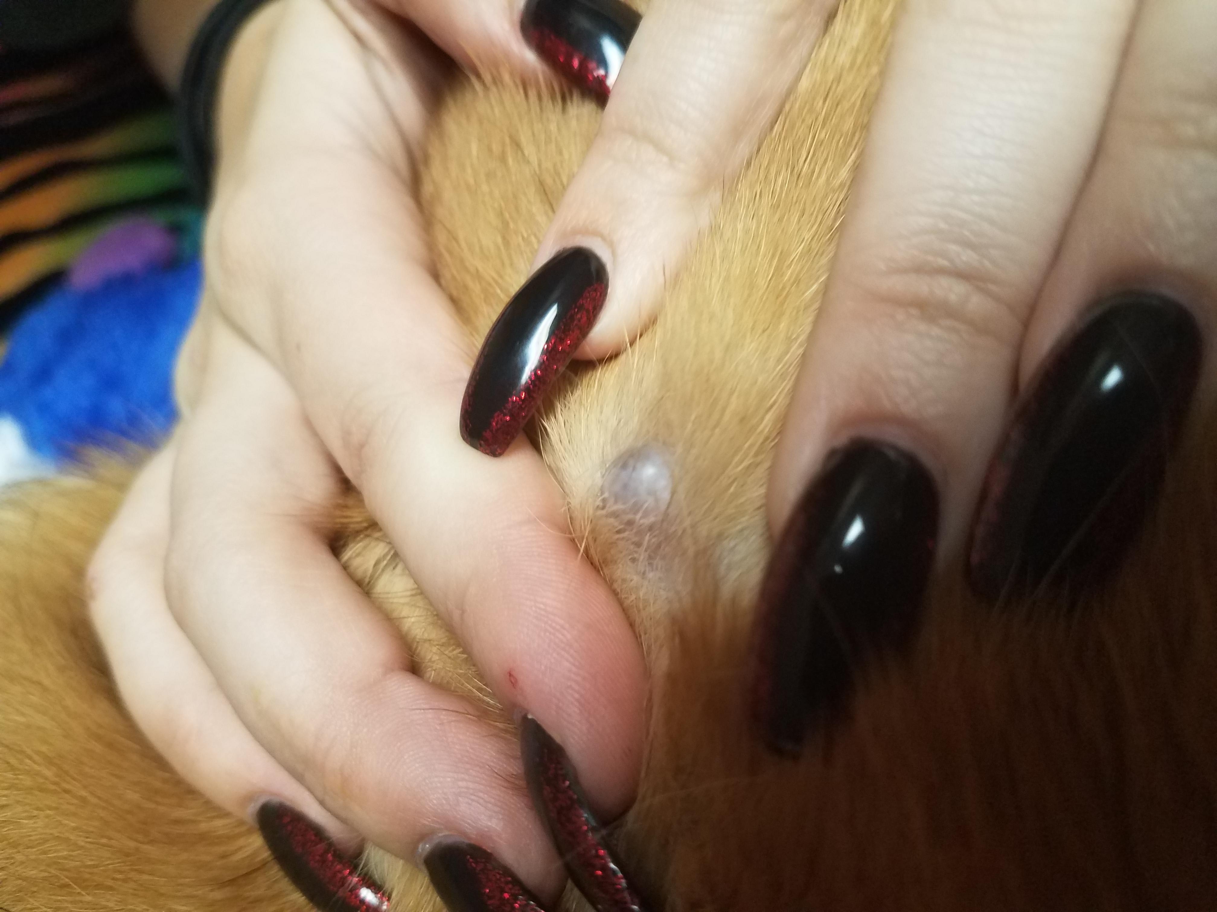 Question details sensitive content