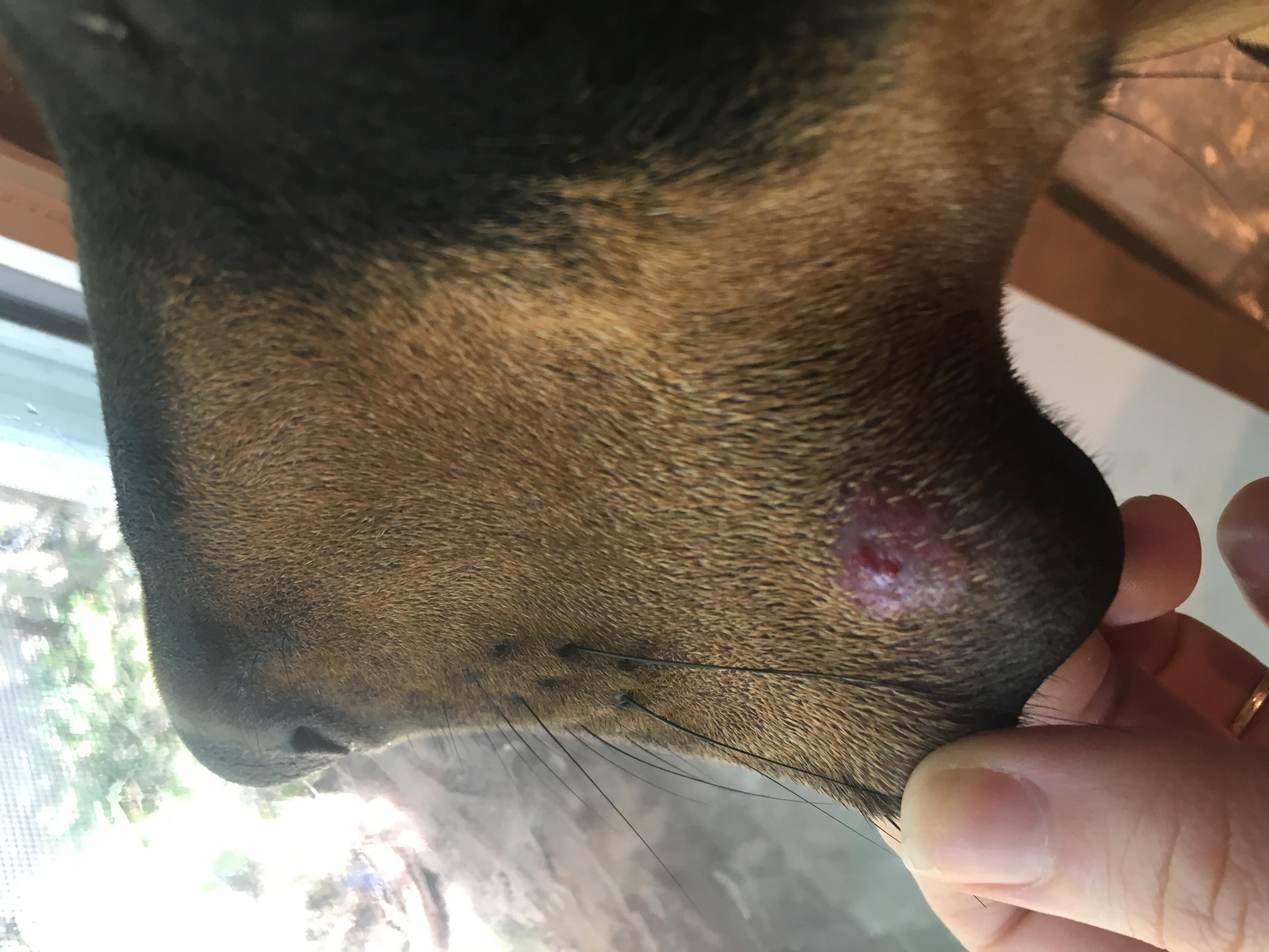 Question details sensitive content