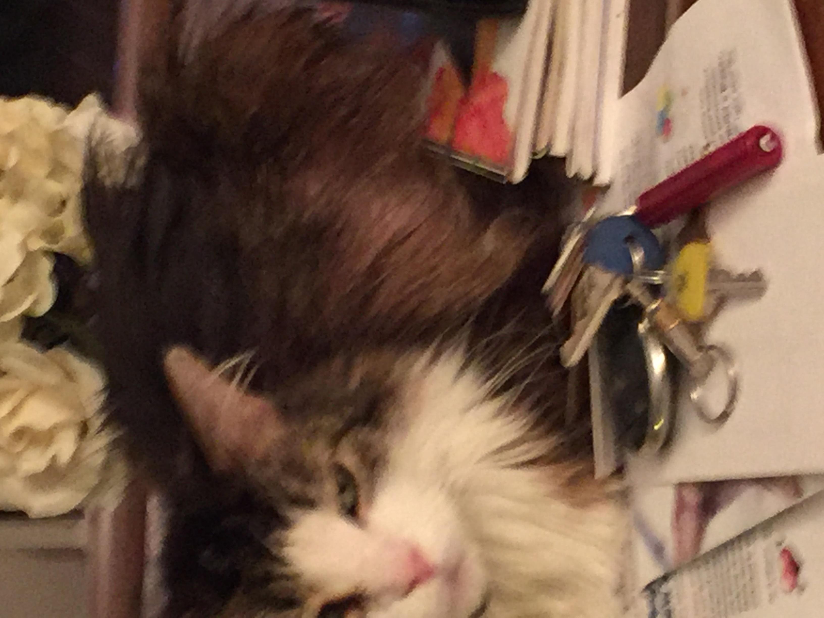 Question details sensitive content