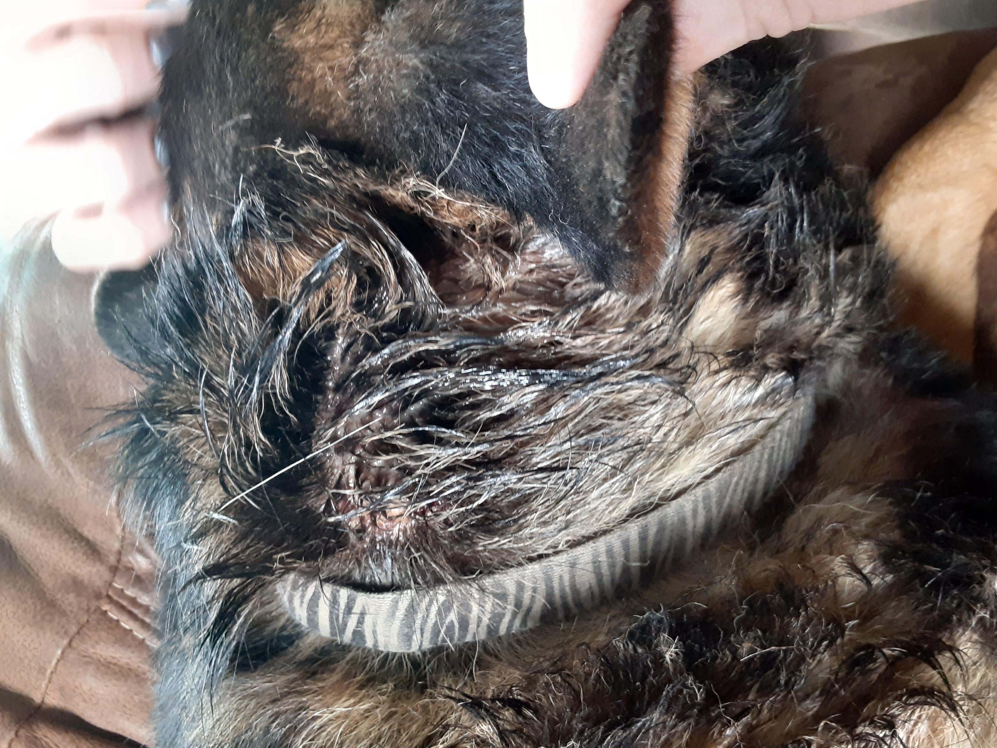 Question details sensitive content