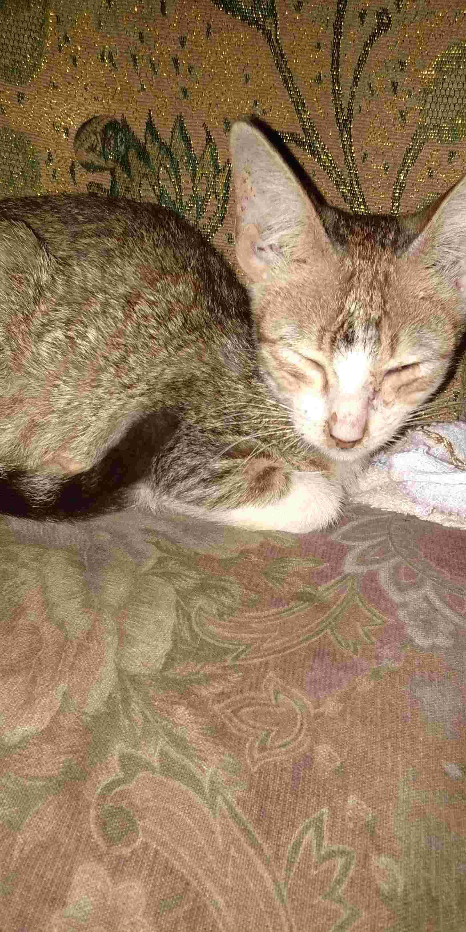 Question details sensitive content