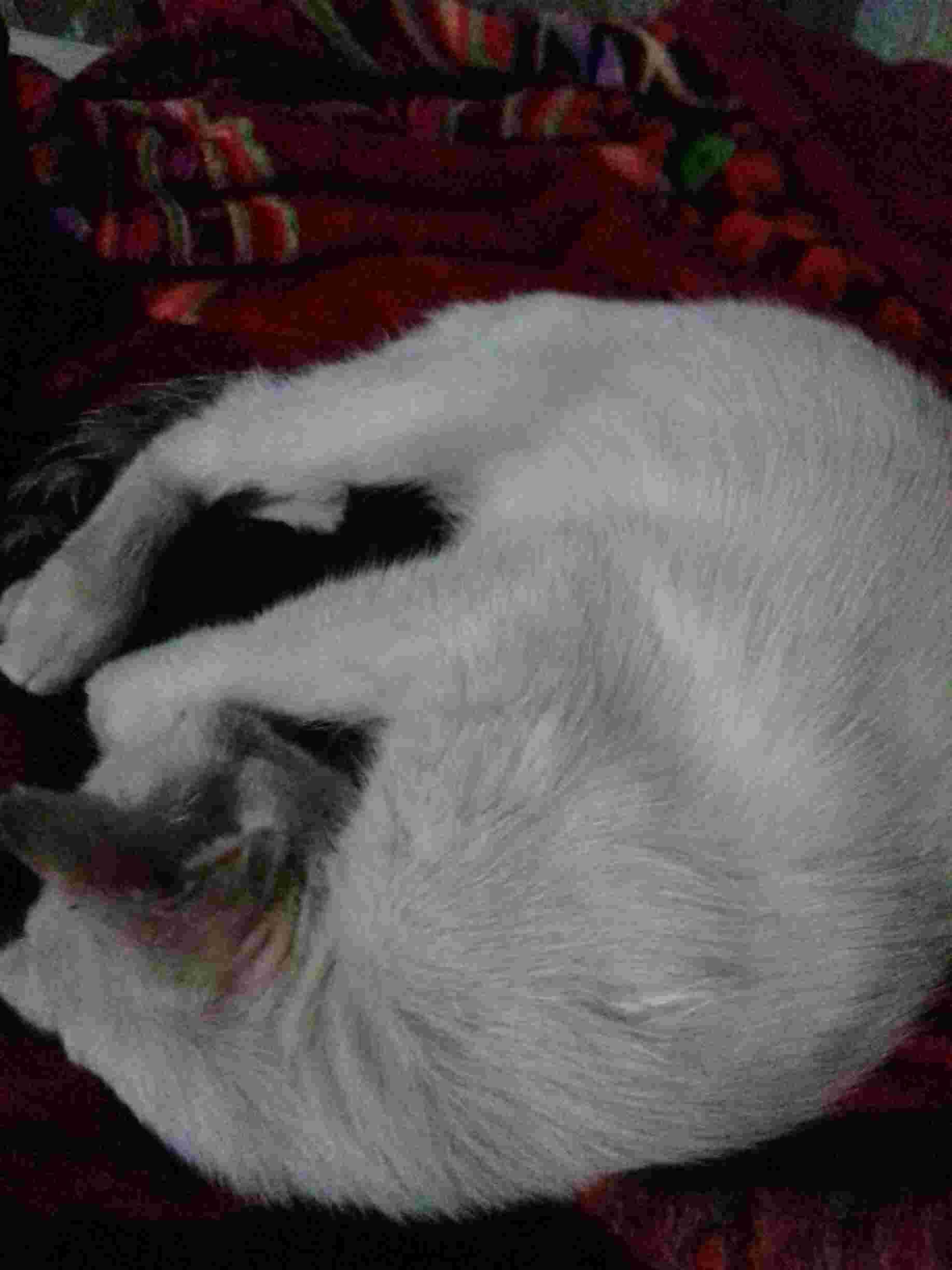 Question details sensitive content