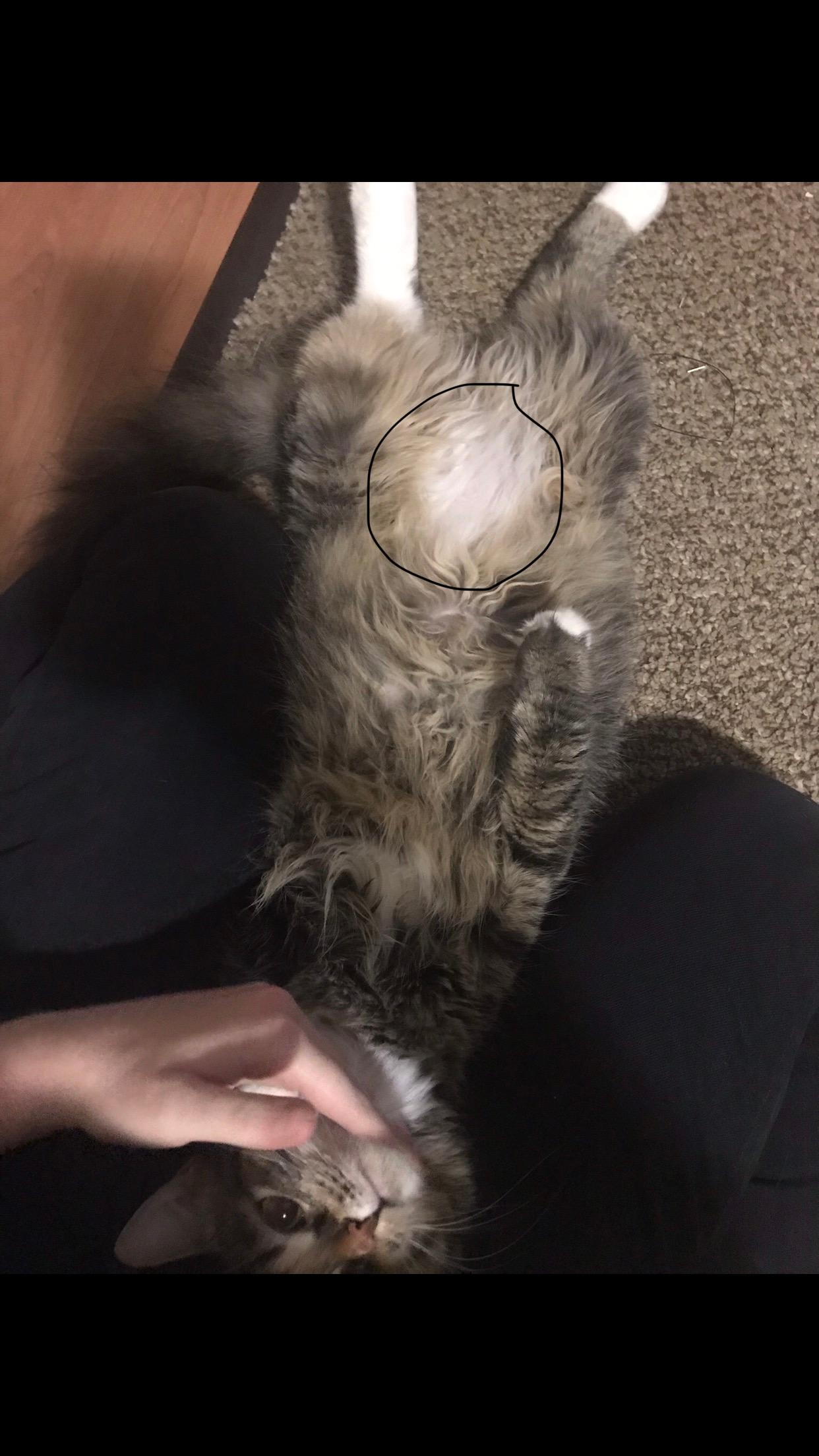 Question details sensitive content