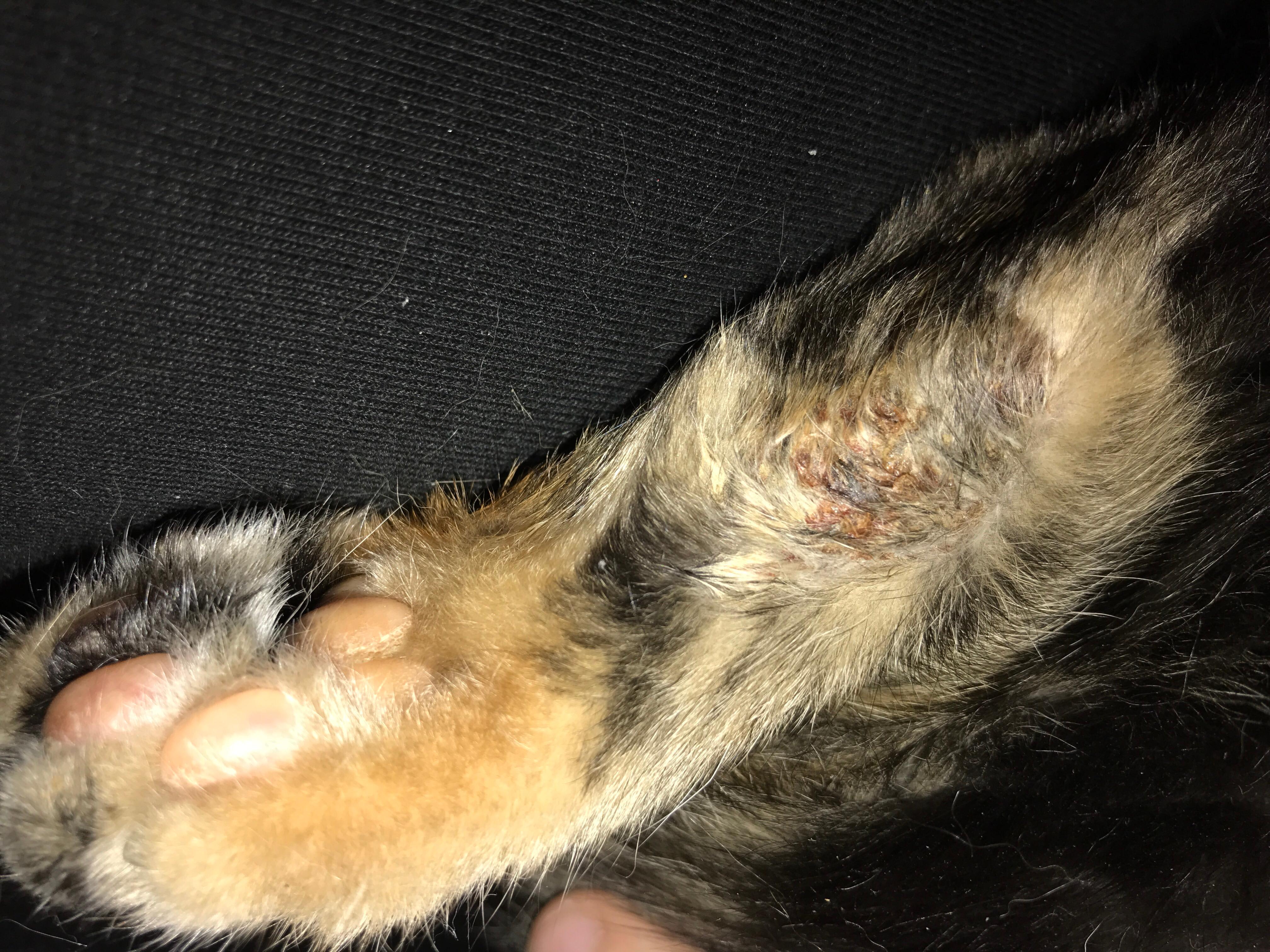 Question details sensitive content