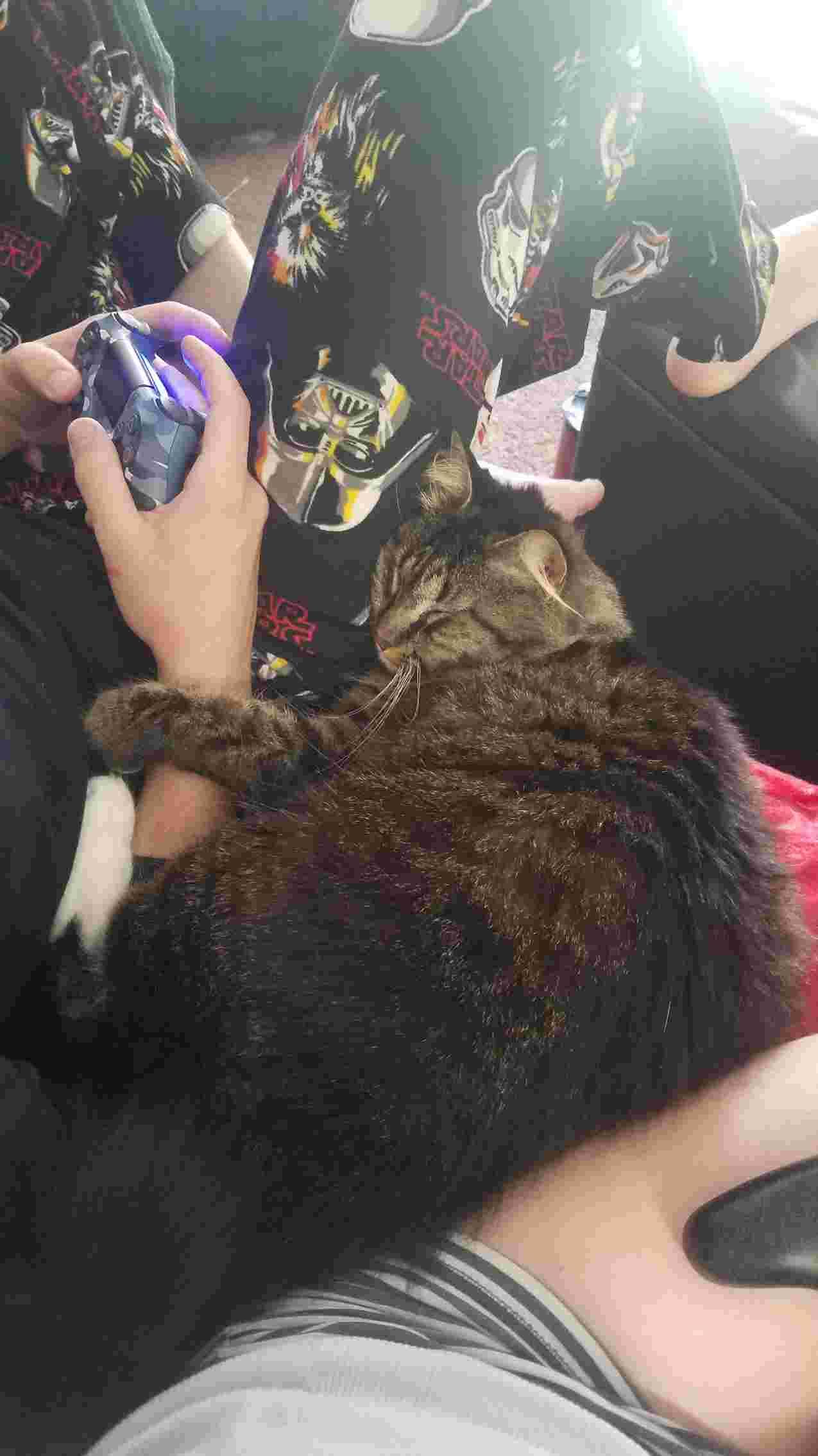 Question details sensitive content