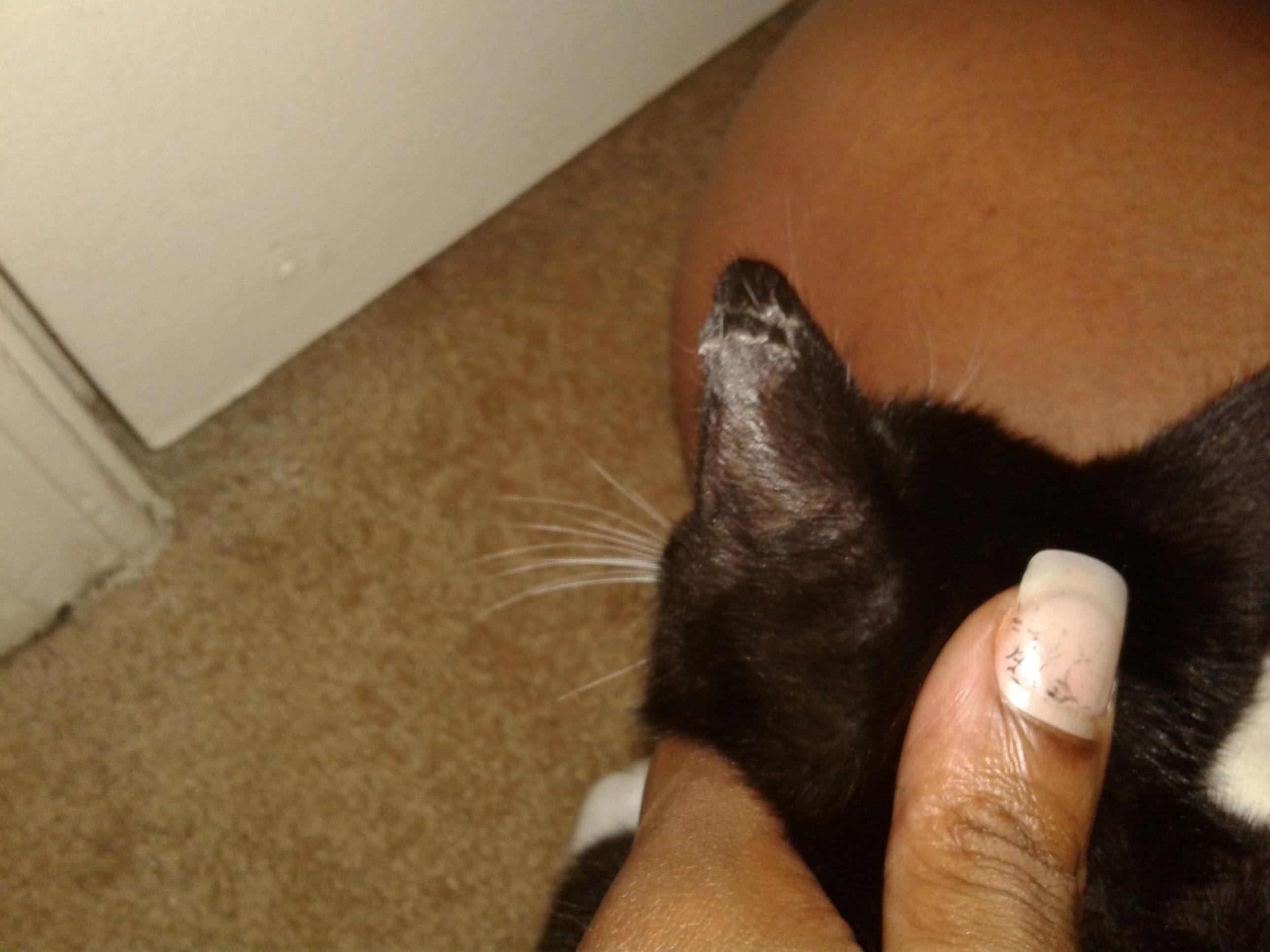 Question details sensitive content