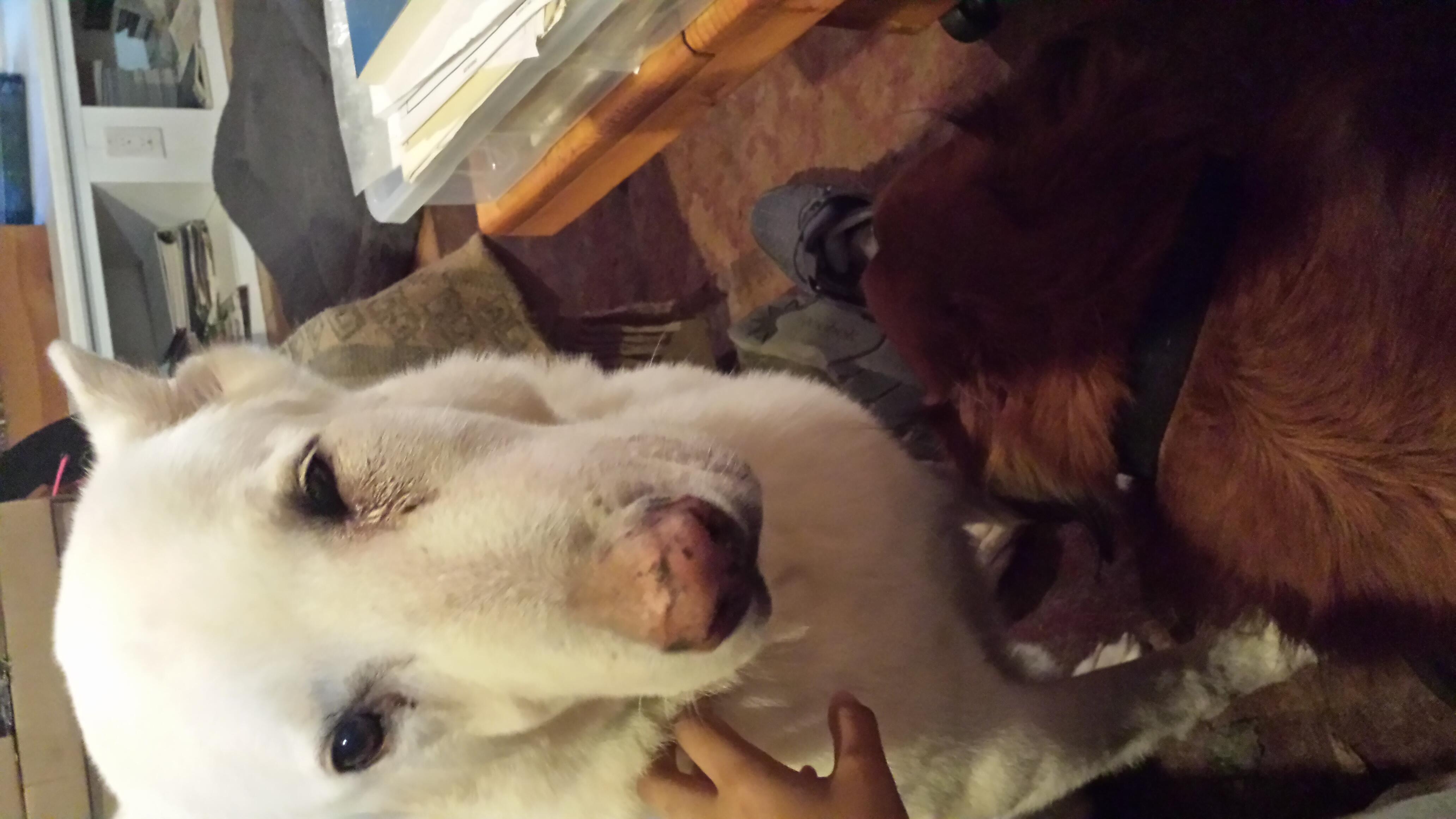 Question details sensitive content