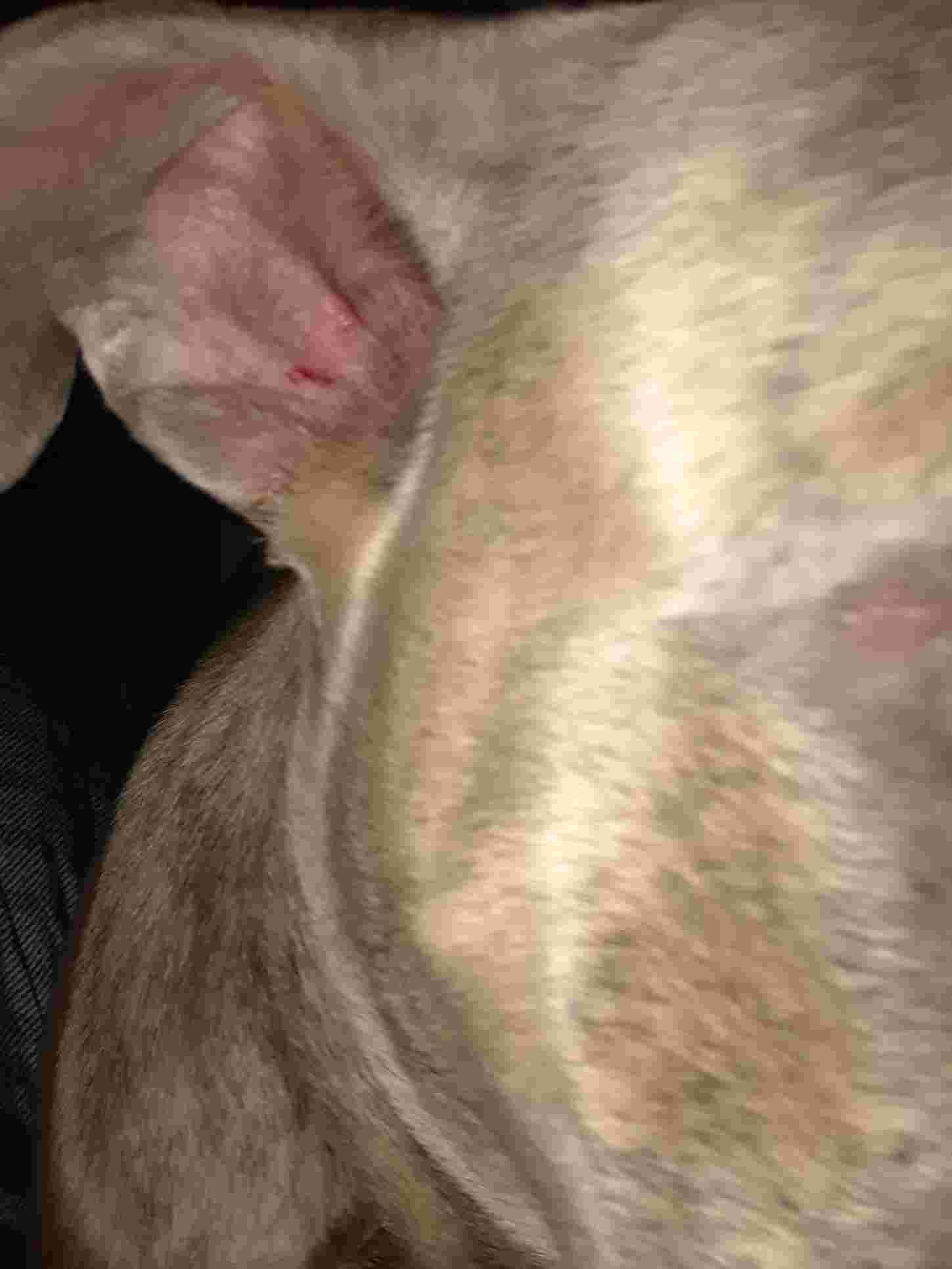 Question details sensitive content