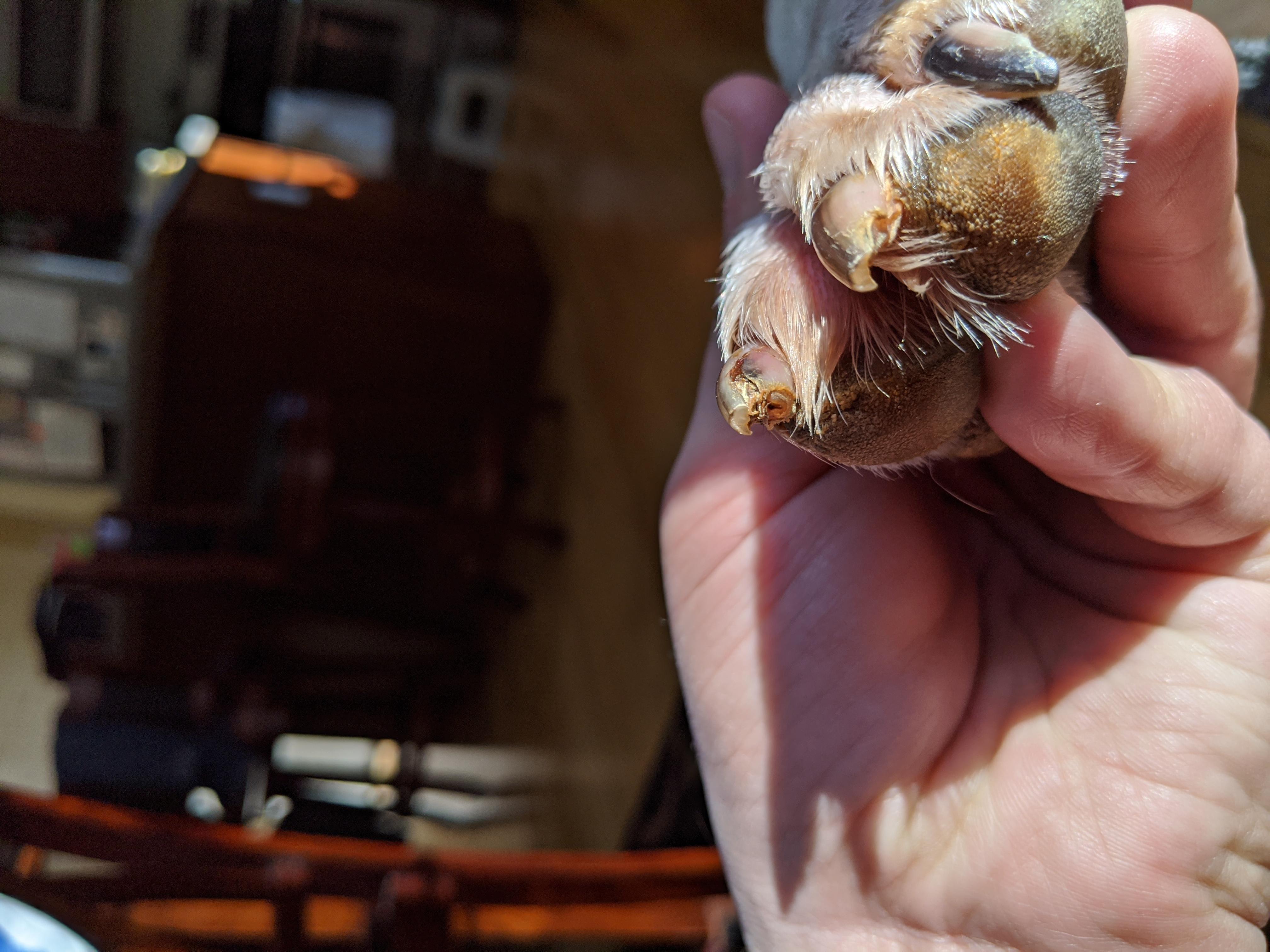 Question details sensitive content