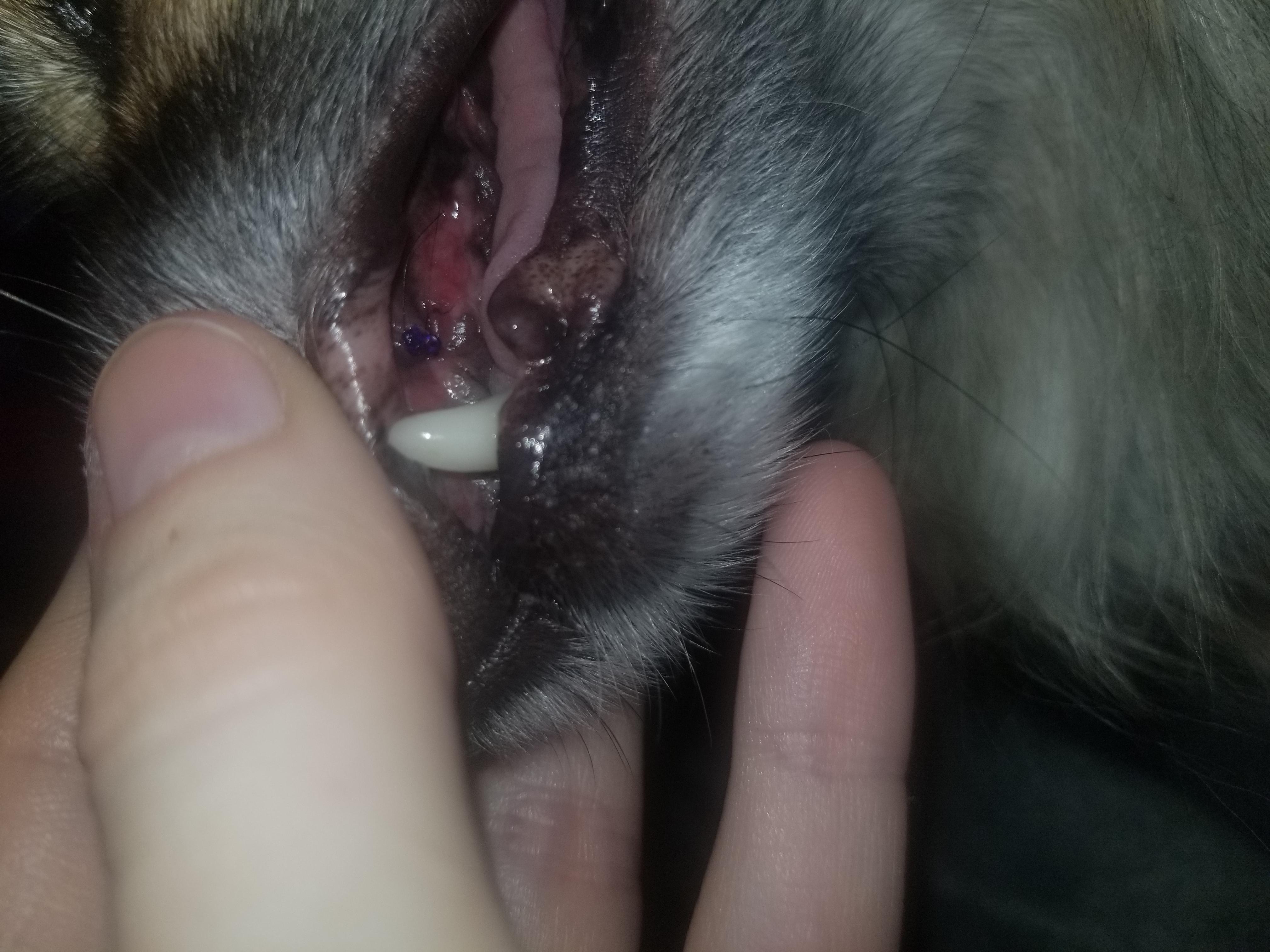 Question details sensitive content