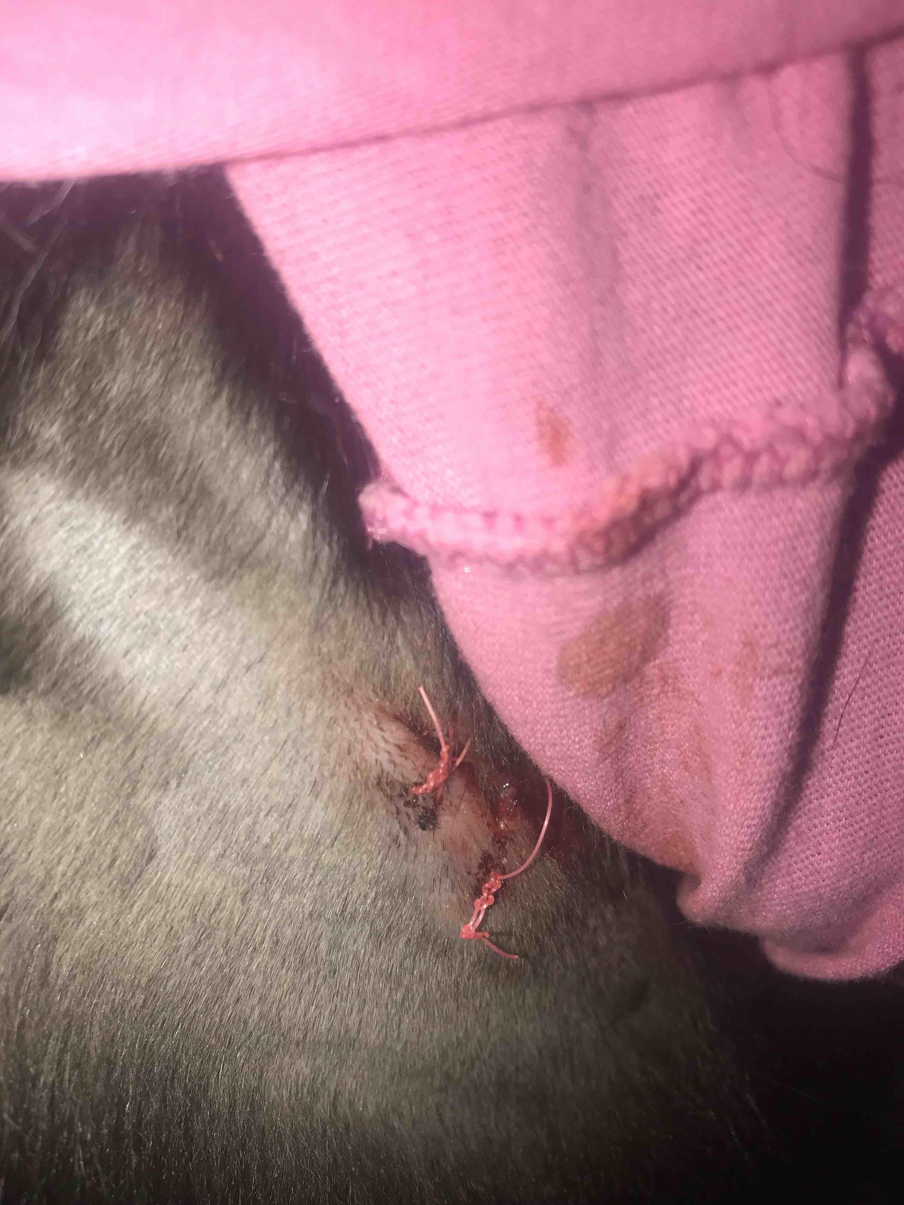 Question details sensitive content