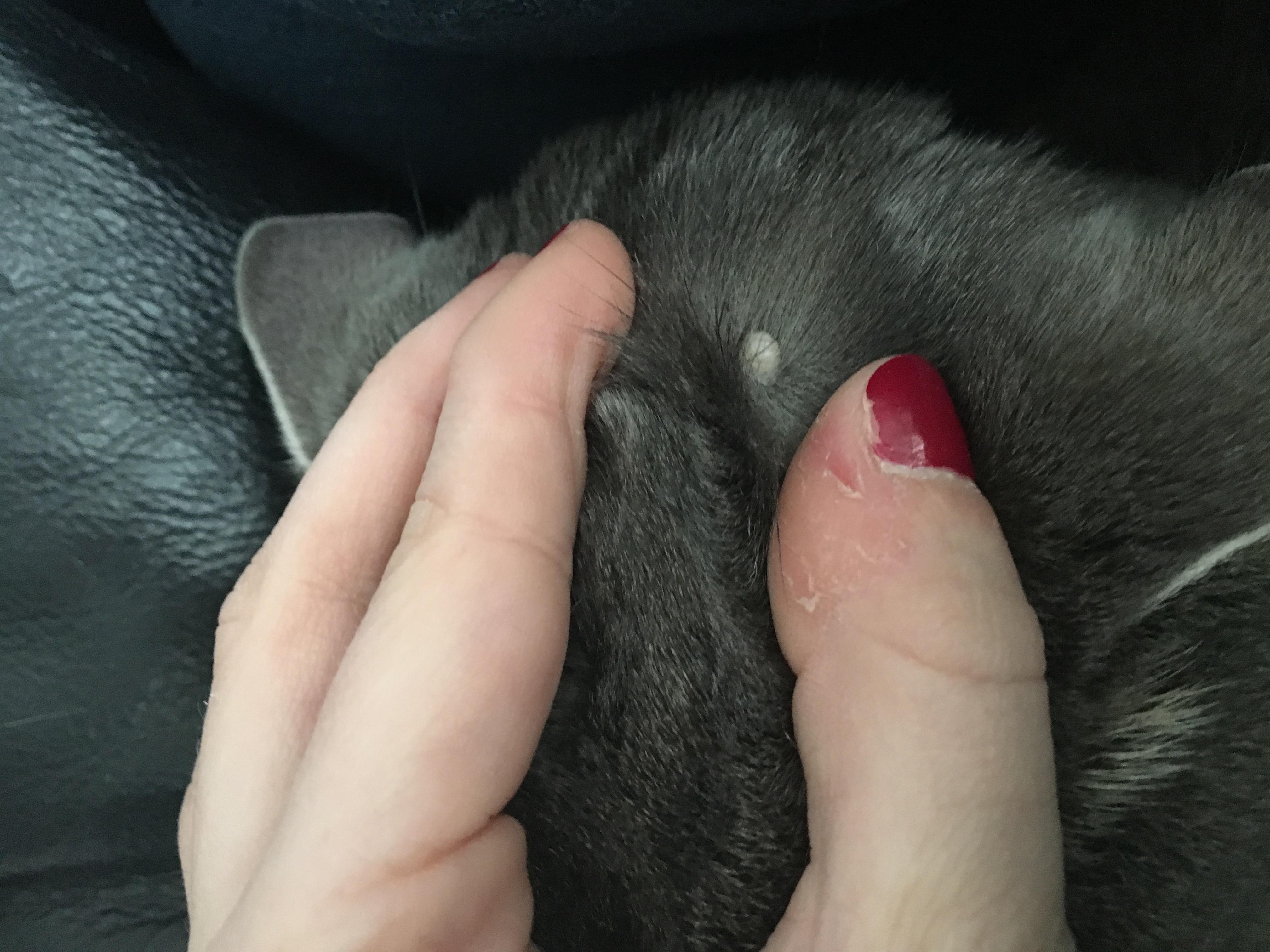 Question details sensitive content