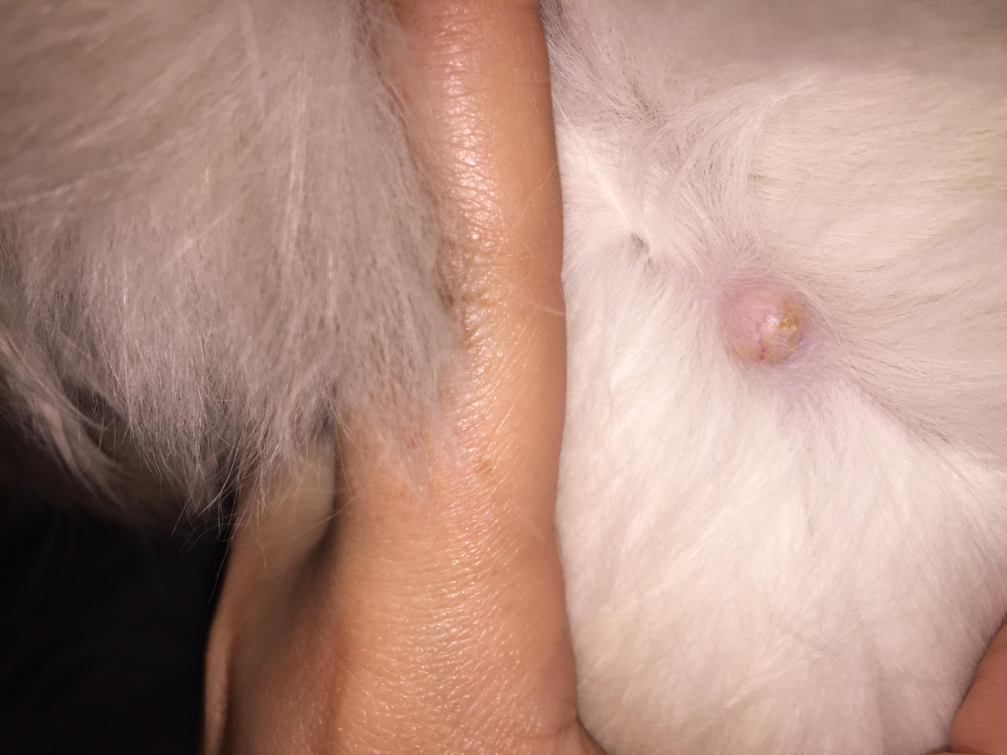 Question details sensitive content