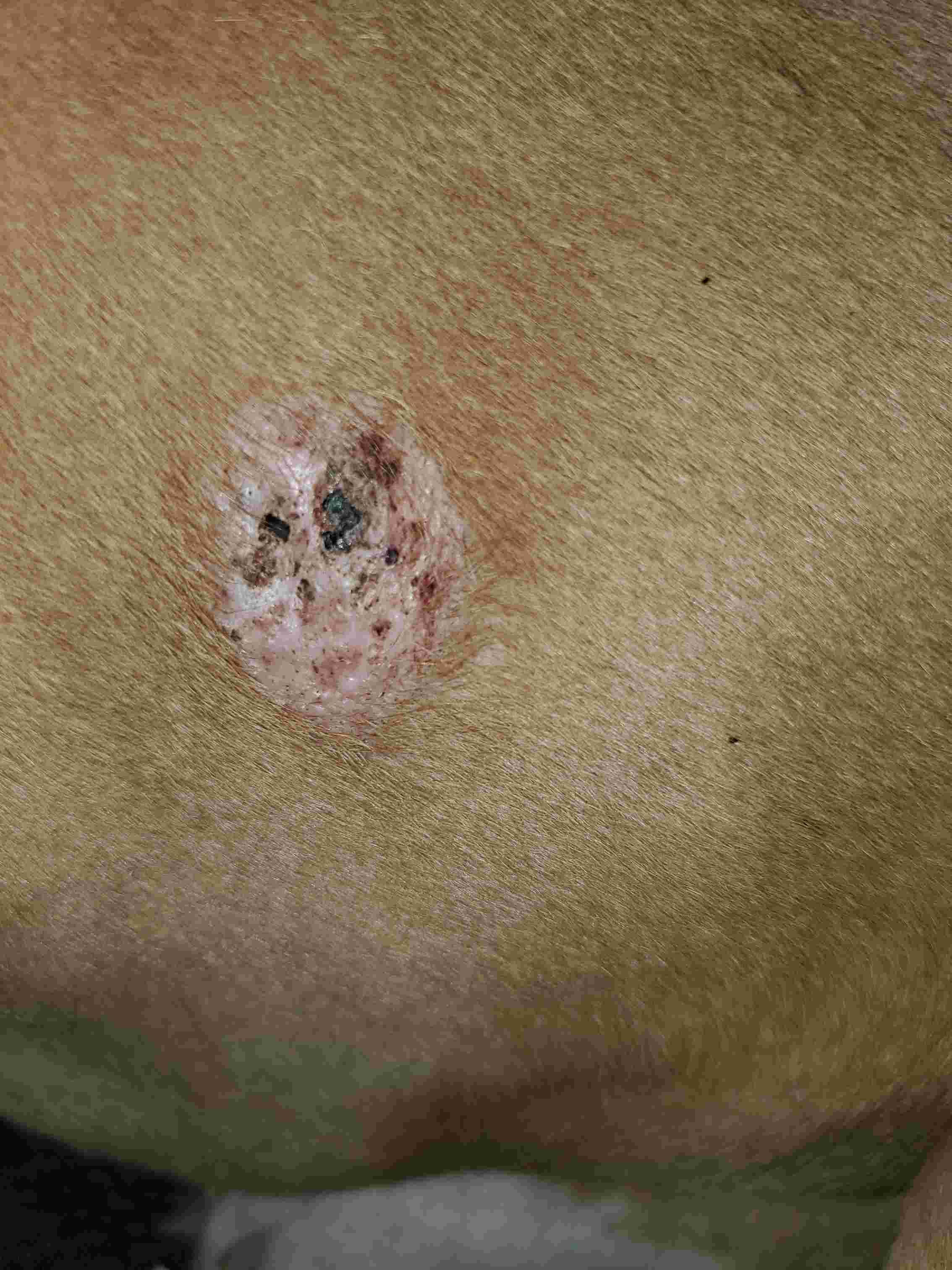 Question details sensitive content