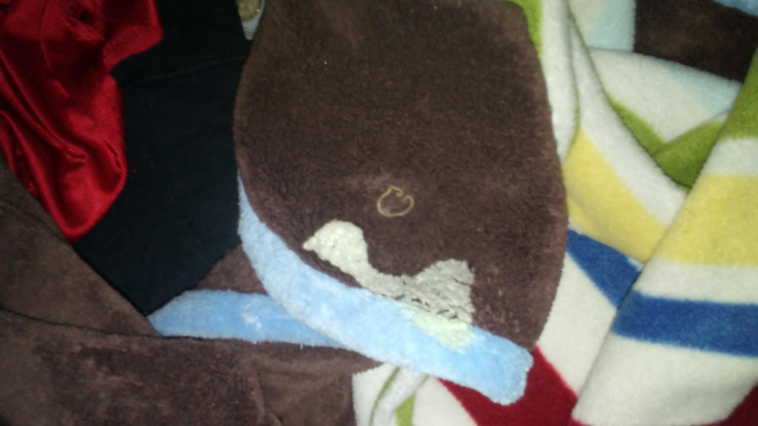 Question details sensitive content