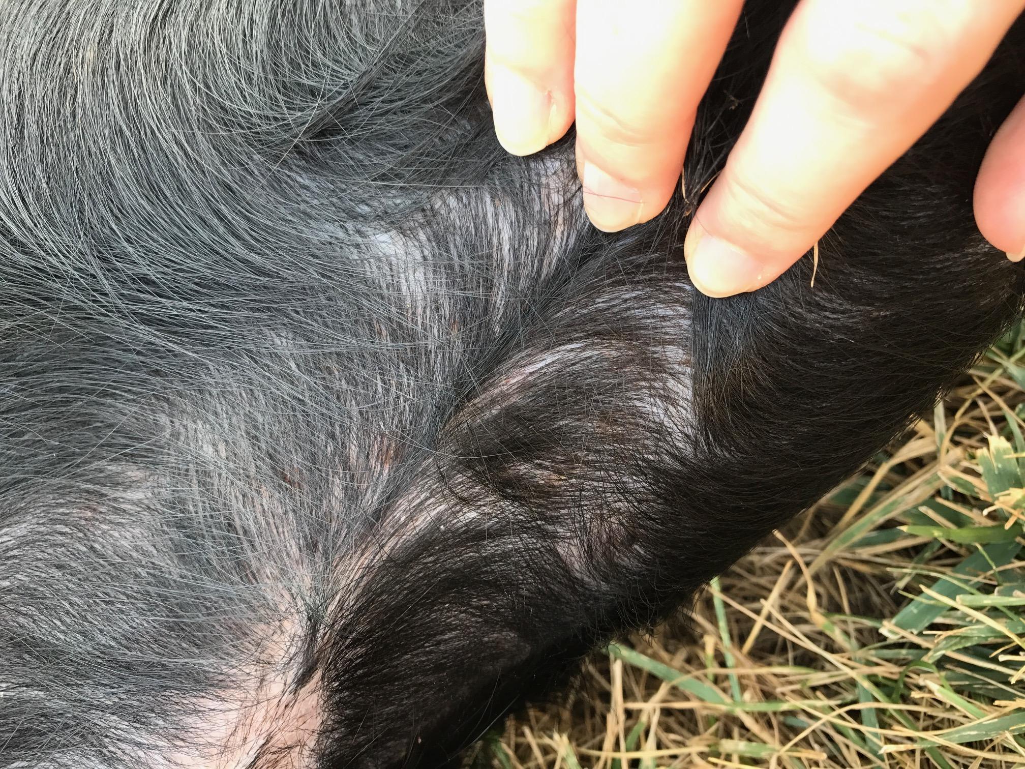 Question details sensitive content